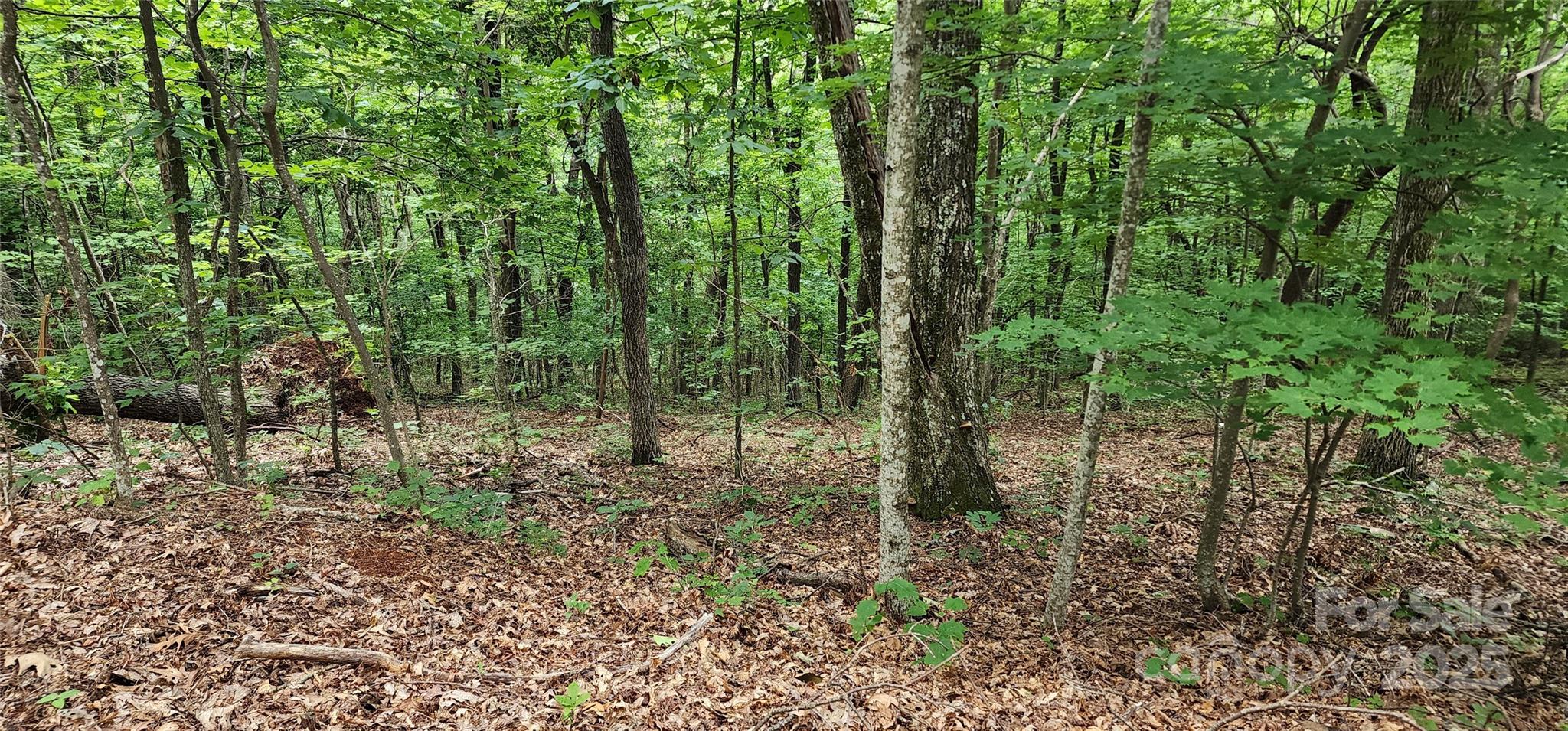 White Oak Mountain - Land