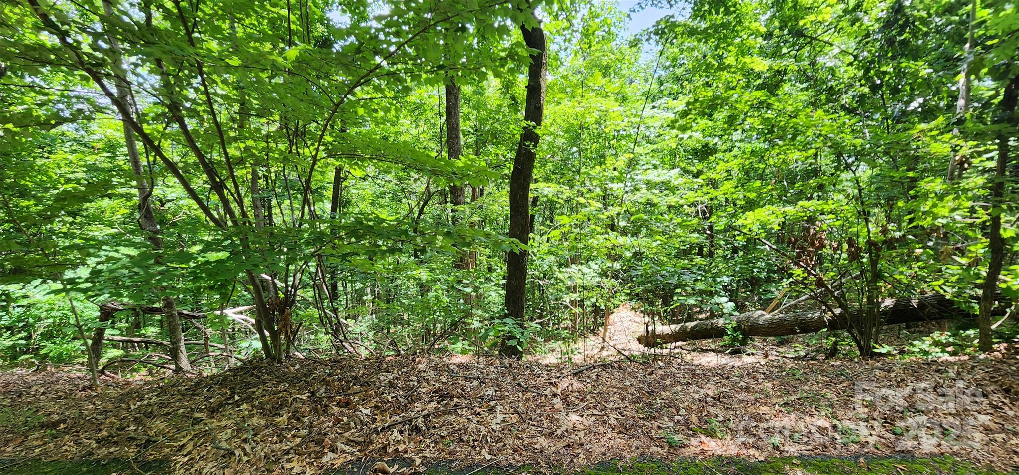 White Oak Mountain - Land