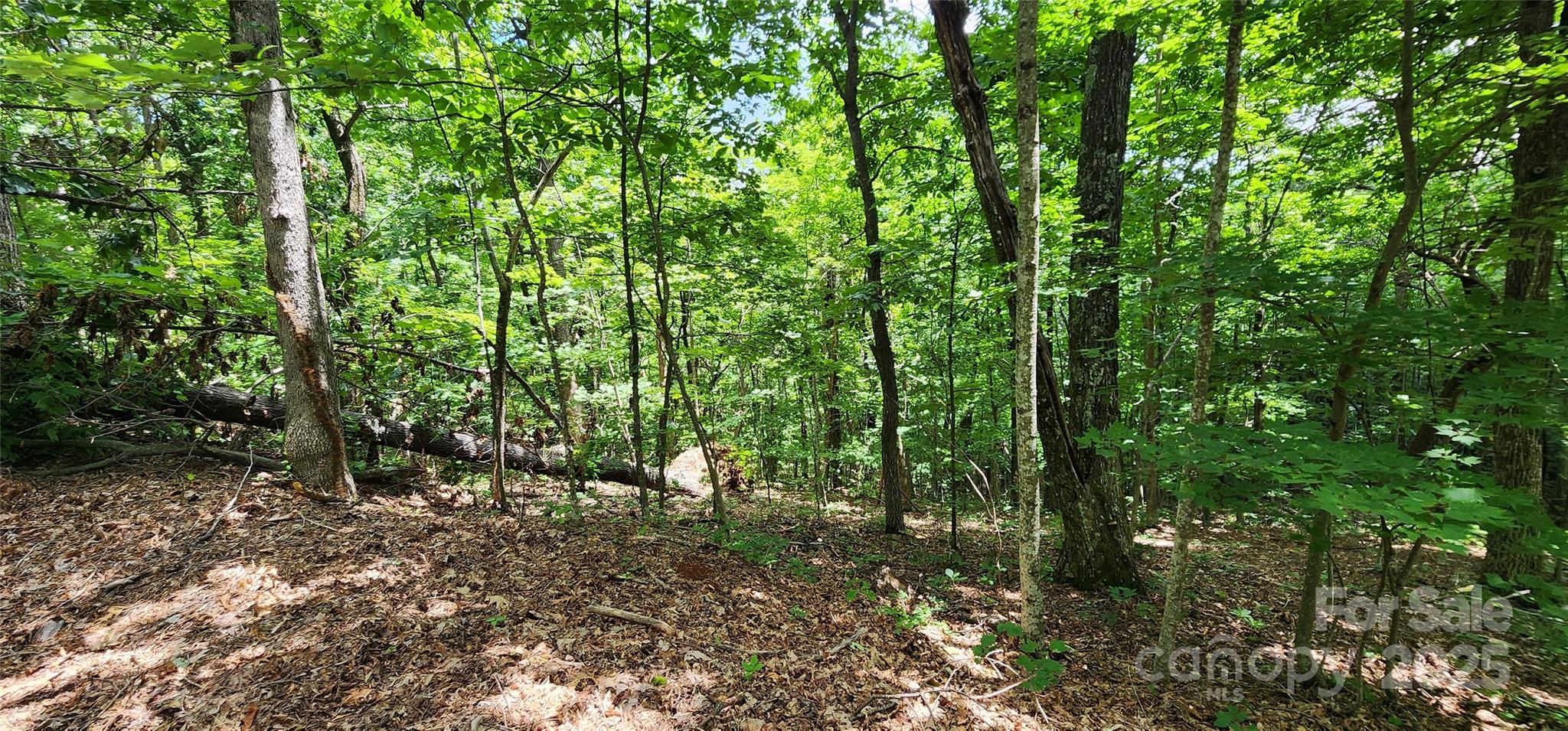 White Oak Mountain - Land