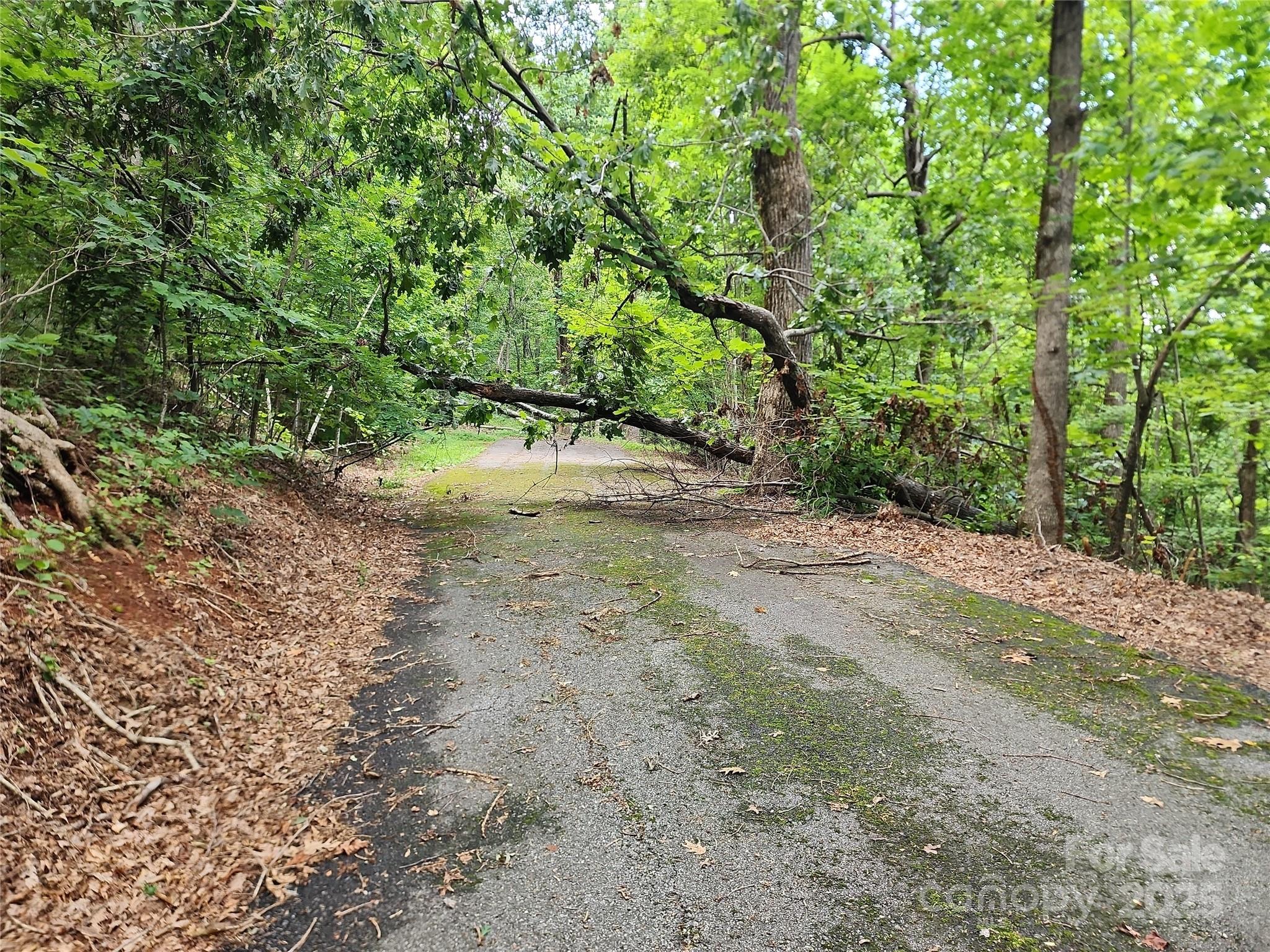 White Oak Mountain - Land