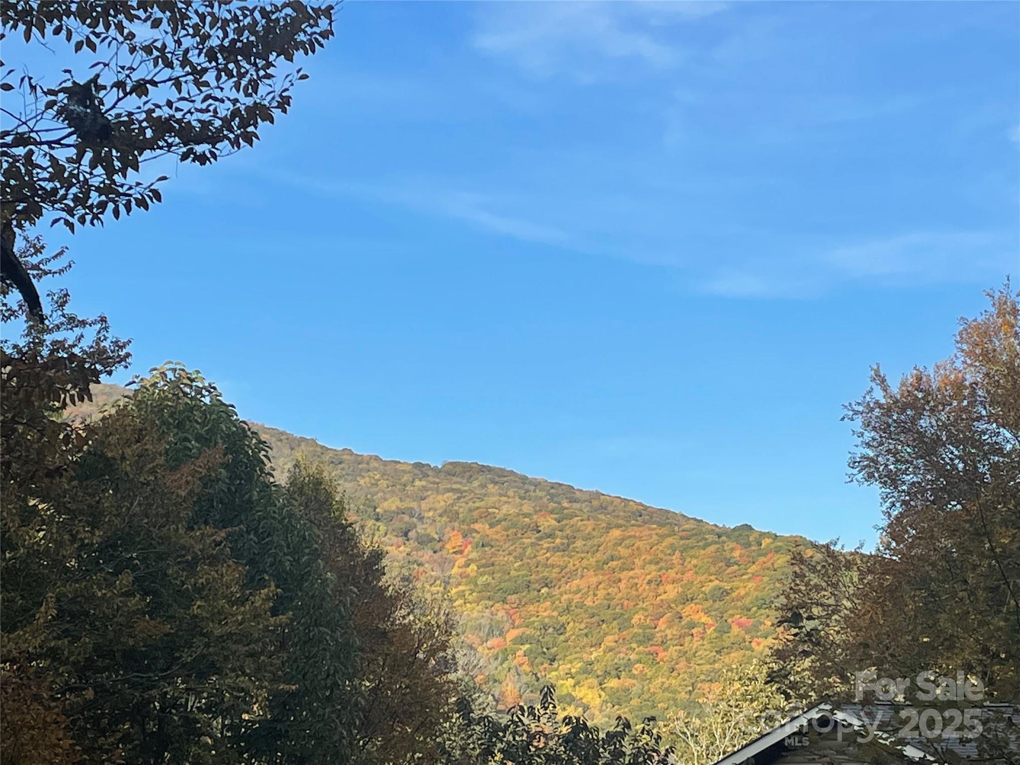 Recent price reduction!!! Come build your Blue Ridge Mountain home in beautiful Wolf Laurel! Significant preliminary grading completed prior to the current Seller's ownership makes this lot one of the most buildable in Wolf Laurel. Also note that Wolf Laurel properties are serviced by a private community water system, eliminating the cost of well drilling.The resultant cost savings, along with its elevation of 4200' affording potential long range views of Big Bald and beyond, and close proximity (less than a mile) to the Golf Course and Club House, provide lot 96 Chestnut Lane a winning combination of everything Buyers seek in this unique gated community. You'll also be mere minutes from Hatley Pointe, the exciting new boutique resort that has revived the ski slopes adjoining Wolf Laurel! Check out their website to learn more about this dynamic neighboring development at www.hatleypointe.com