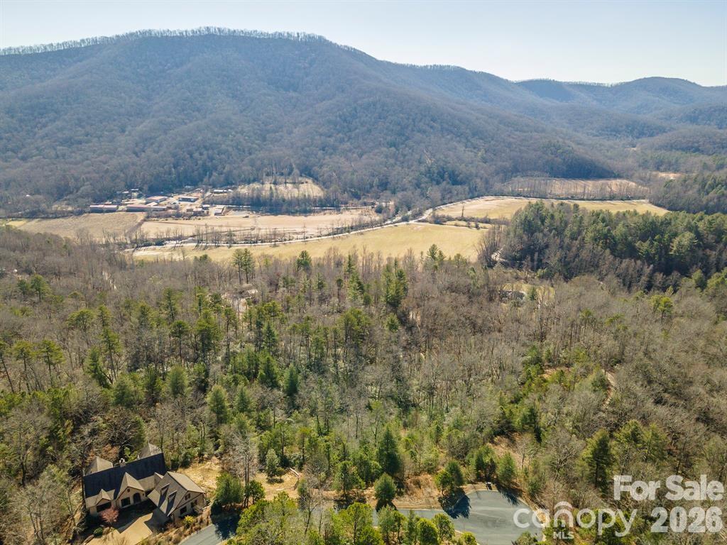 Homestead at Mills River - Residential