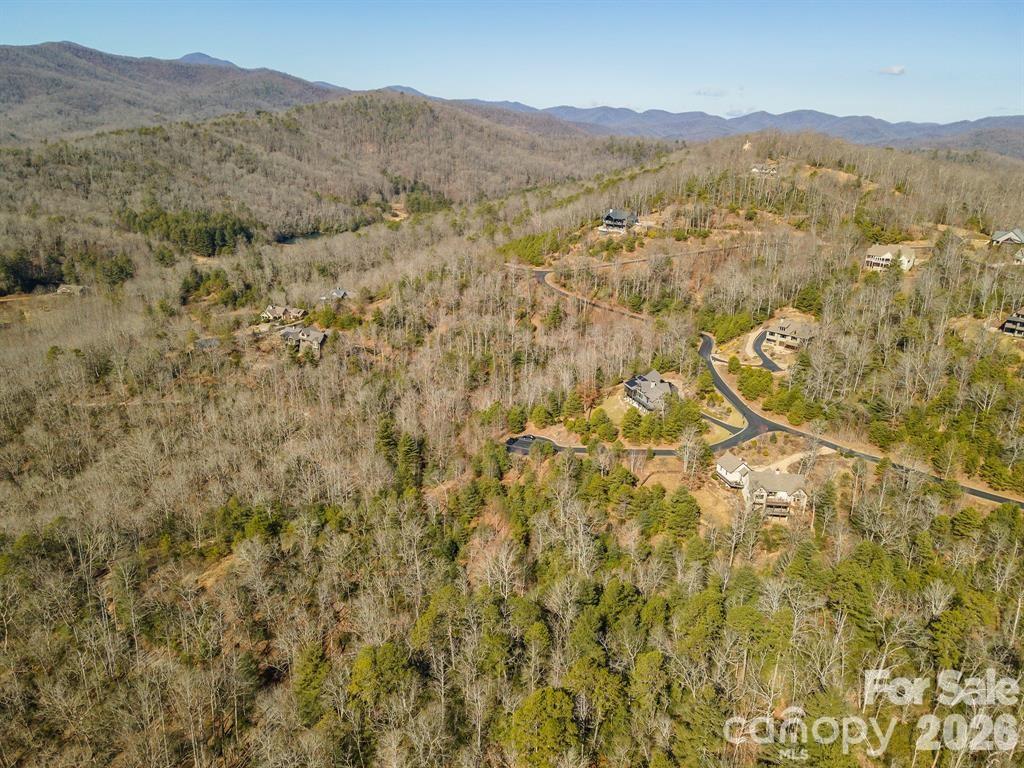 Homestead at Mills River - Residential