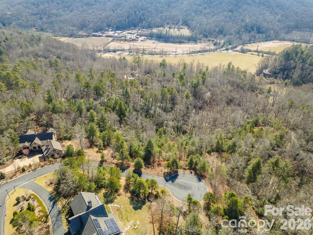 Homestead at Mills River - Residential