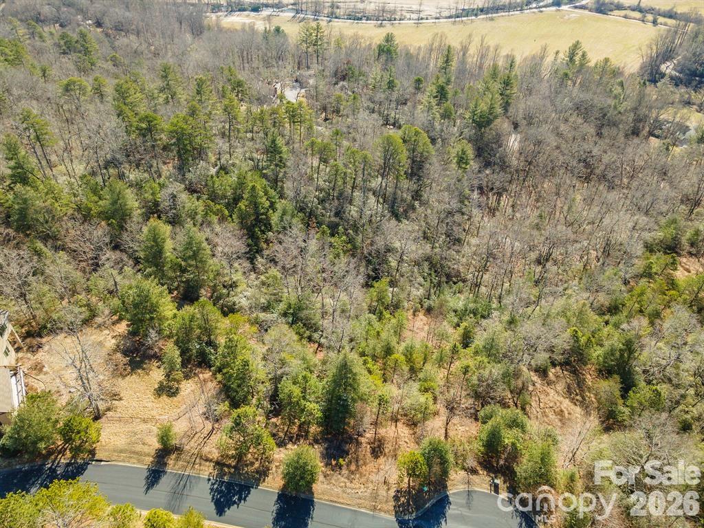 Homestead at Mills River - Residential