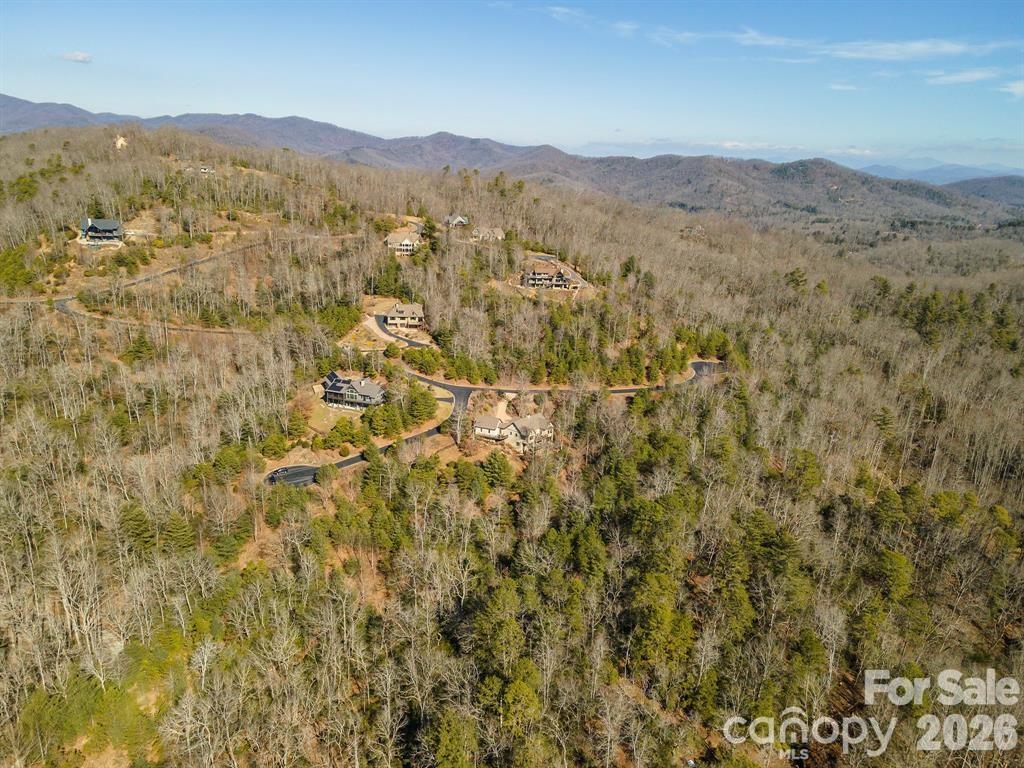 Homestead at Mills River - Residential
