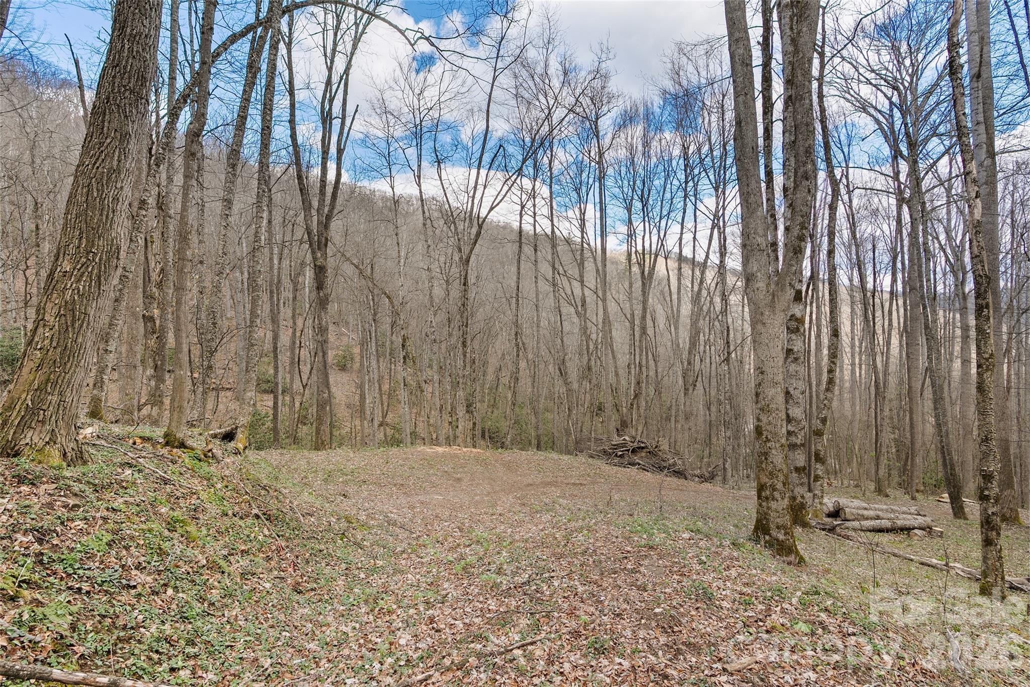 Turnkey land opportunity with major improvements already in place—saving you time, money, and hassle so you can focus on building your mountain dream home. This 5.05-acre parcel in the gated Big Laurel community features a completed driveway, culvert installation, and a partially graded homesite, with approximately $40,000 in improvements already done. The property offers a gentle, easy approach up to the homesite—an uncommon and highly desirable feature in mountain land. Surrounded by wooded beauty and bordered by the Great Smoky Mountains National Park, you’ll enjoy exceptional privacy, natural serenity, and protected surroundings. Listen to the soothing sounds of small mountain streams nearby while taking in the quiet, peaceful setting that defines this special property. Whether you're planning a full-time residence or a private mountain retreat, much of the groundwork is already complete—making this an outstanding value and rare find in today’s market.