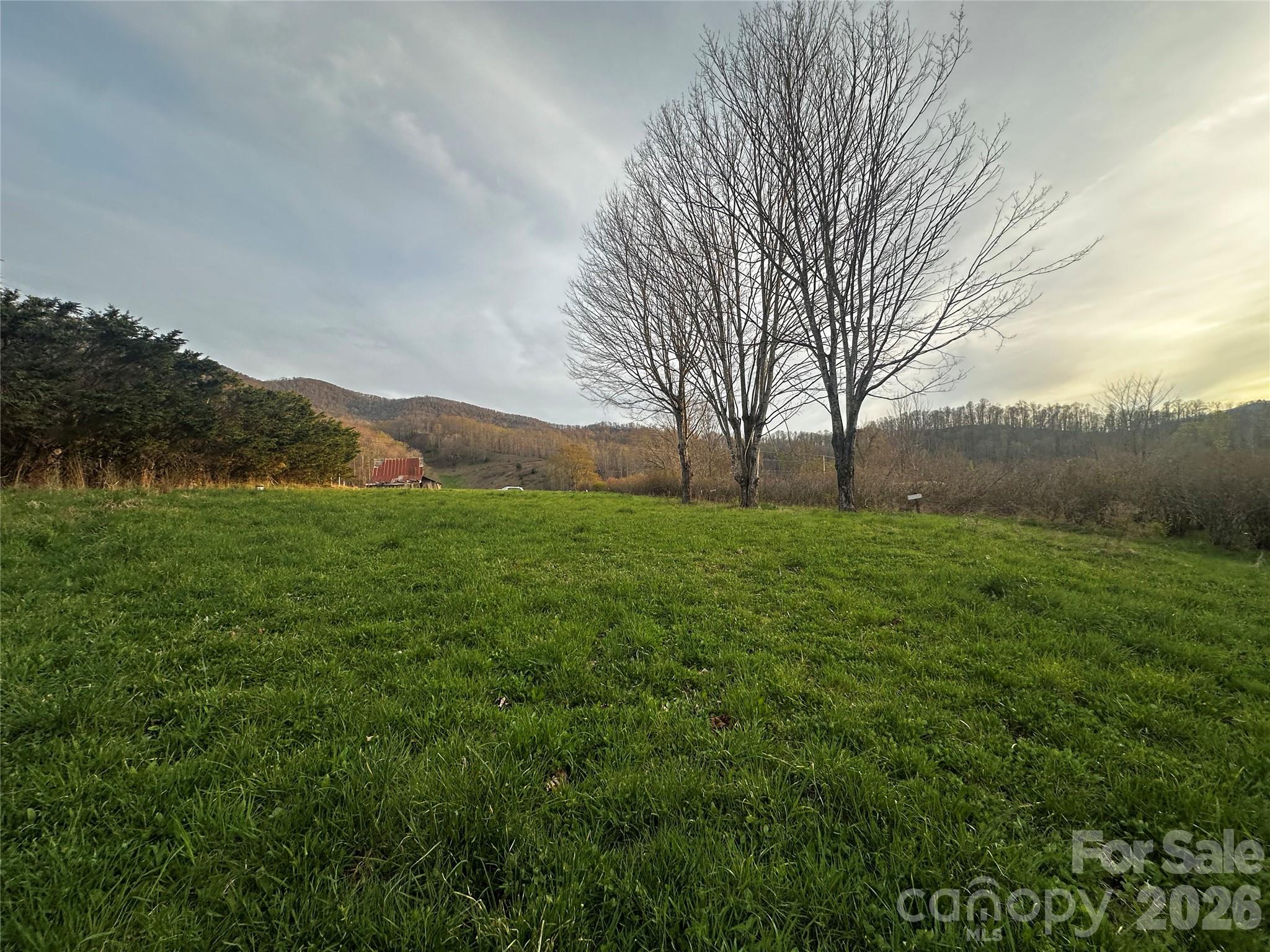 Homesite with incredible views under the roan! Ready to build as the former home had well and septic in place. This site offers stunning mountain views and a creek that runs at the lower end of the property. House site is ready for your home vision or camper site for your mountain getaway. SELLER IS A LICENSED REAL ESTATE AGENT.