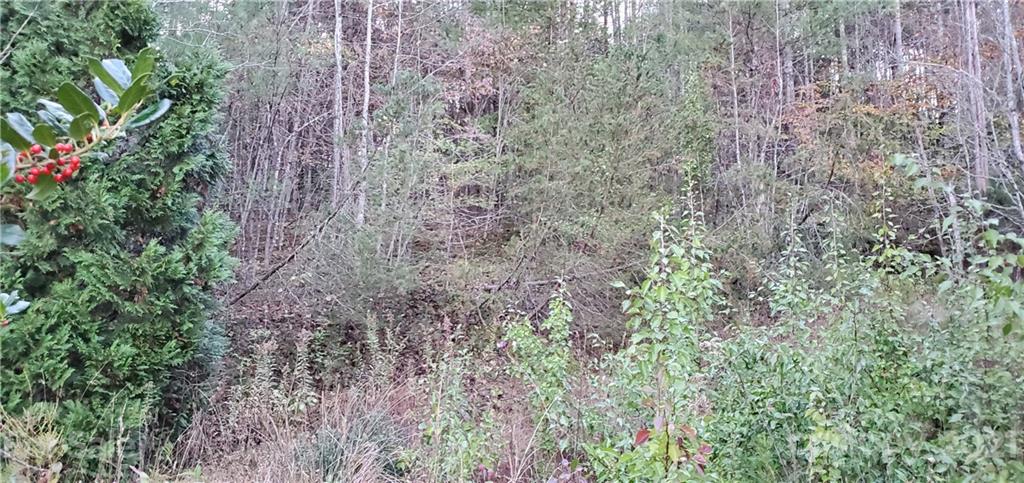 The Bluffs of Wilson Creek - Land