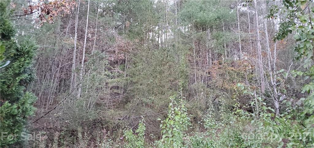 The Bluffs of Wilson Creek - Land
