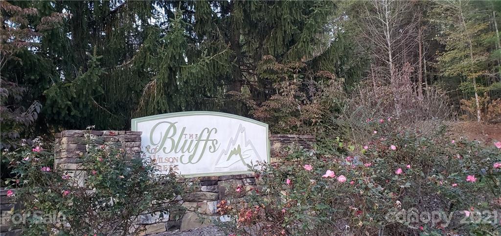 The Bluffs of Wilson Creek - Land