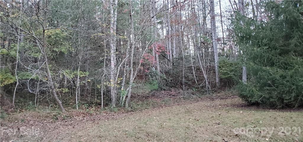 The Bluffs of Wilson Creek - Land