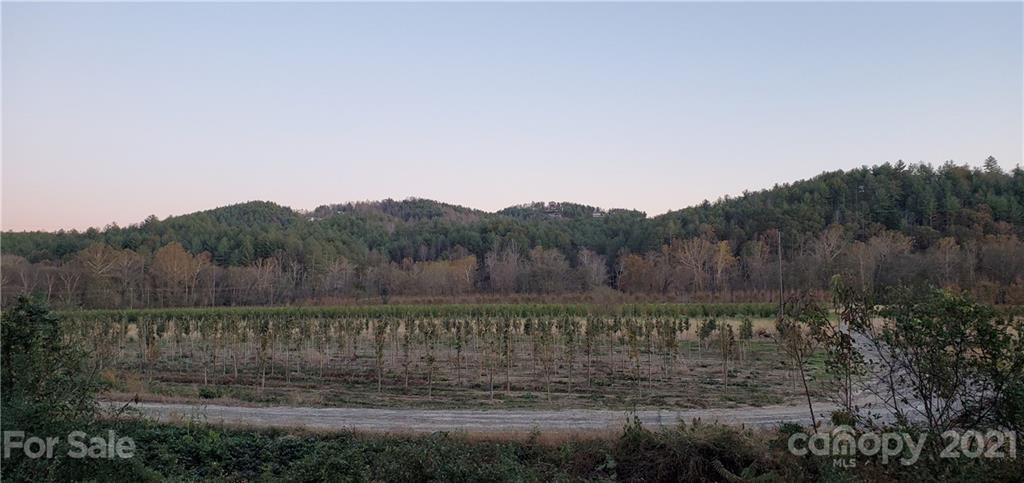 The Bluffs of Wilson Creek - Land