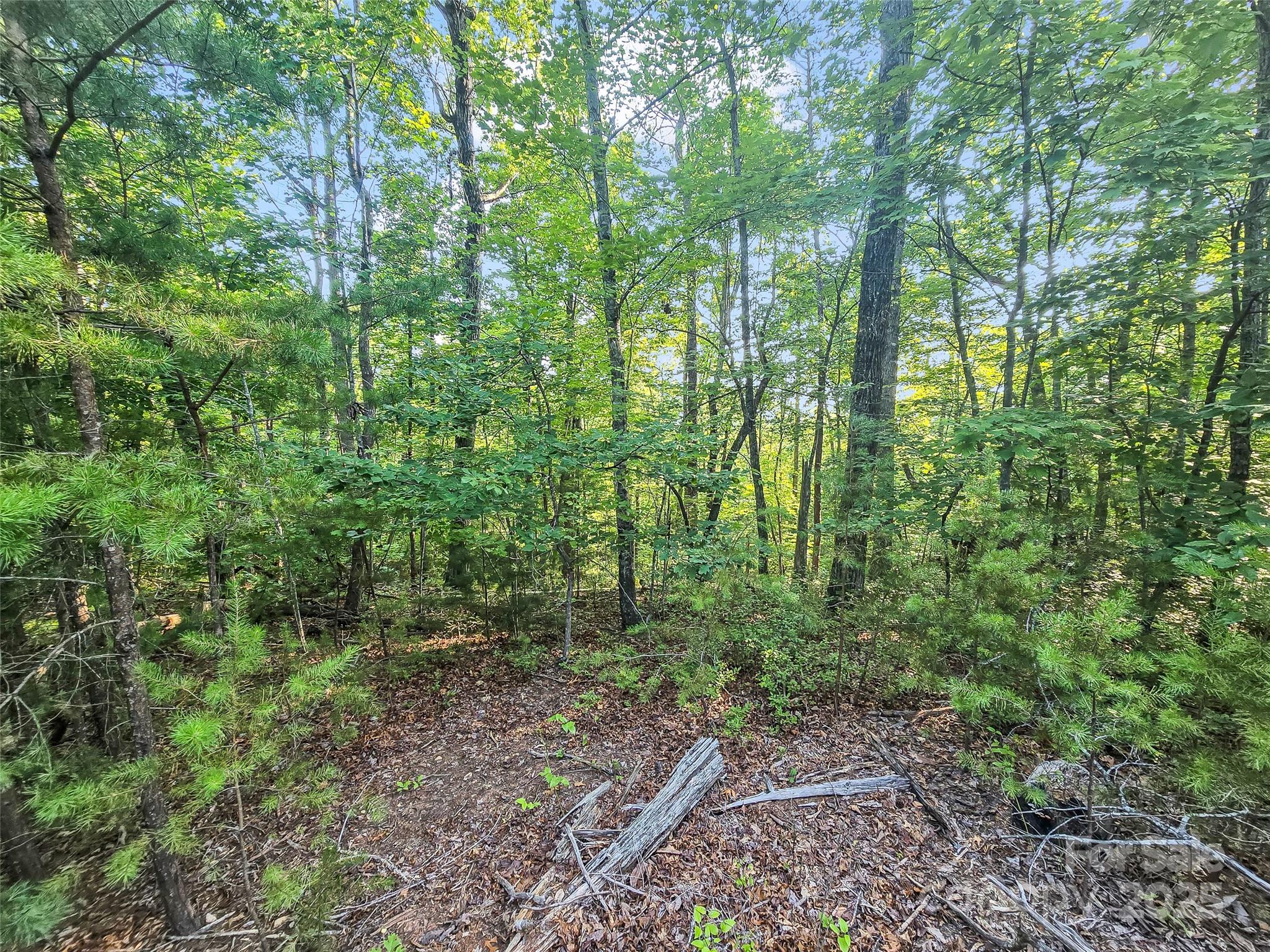 Forest Heights - Land
