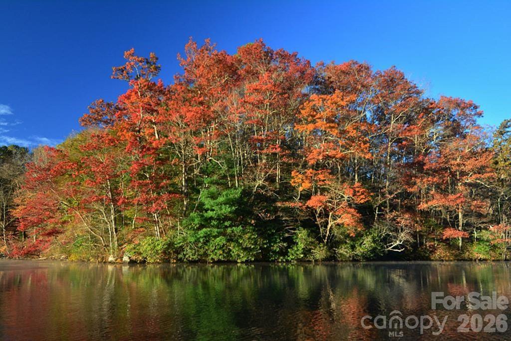 Cedar Shores - Land