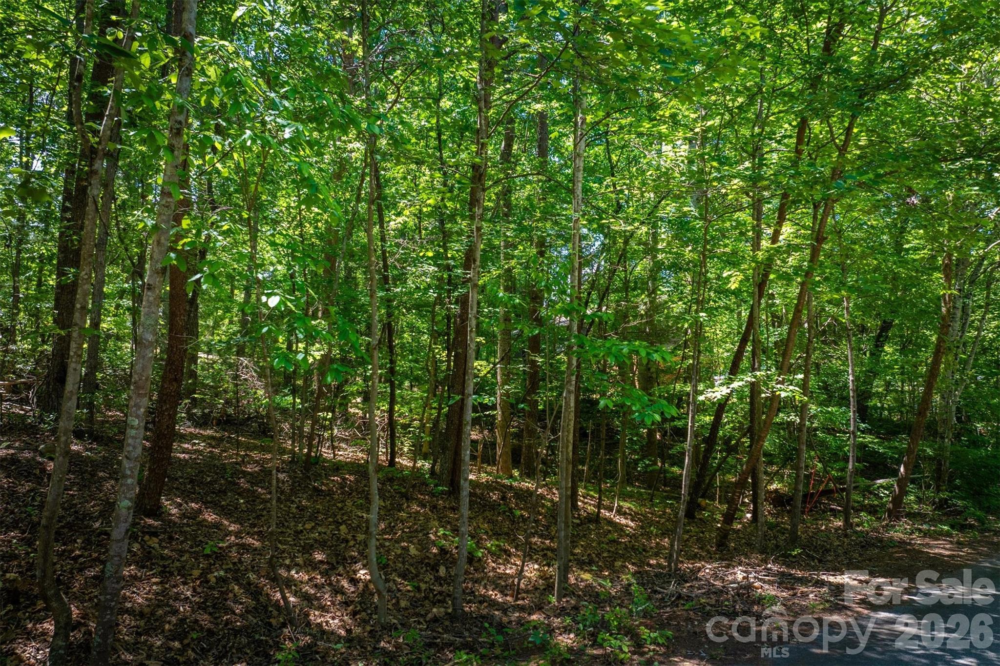 Hidden Acres - Land