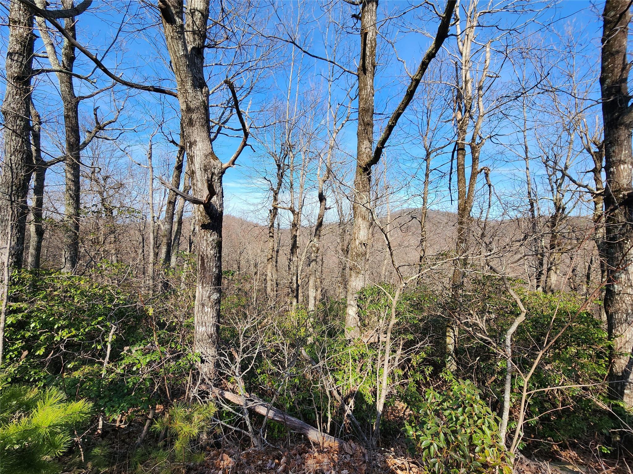 White Oak Mountain - Land