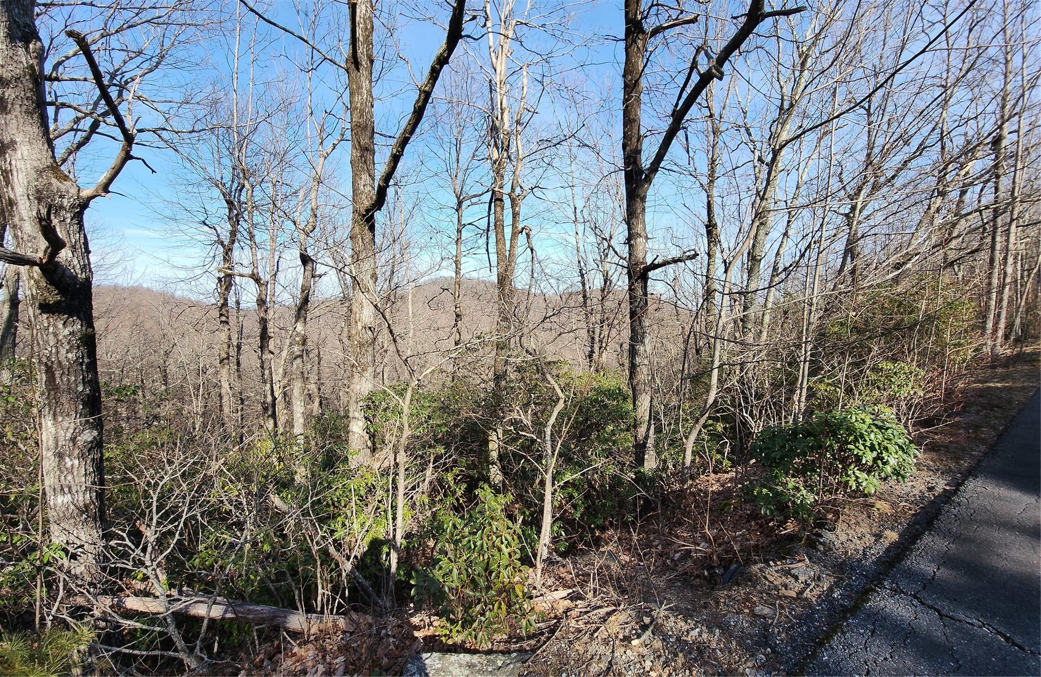 White Oak Mountain - Land