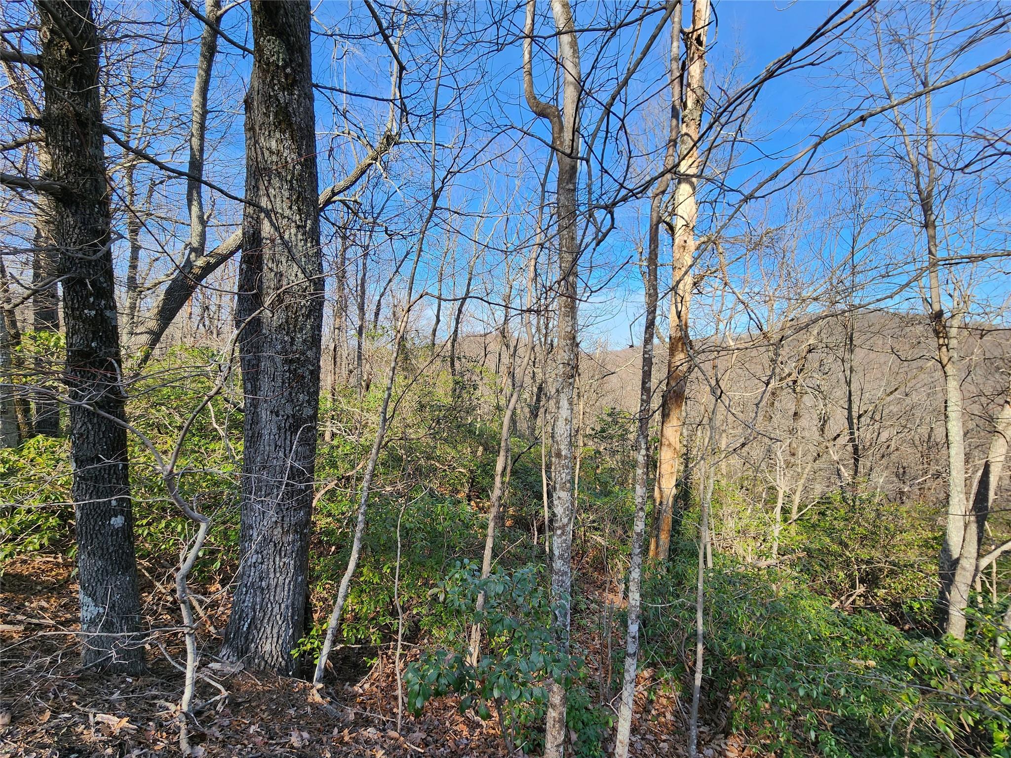 White Oak Mountain - Land