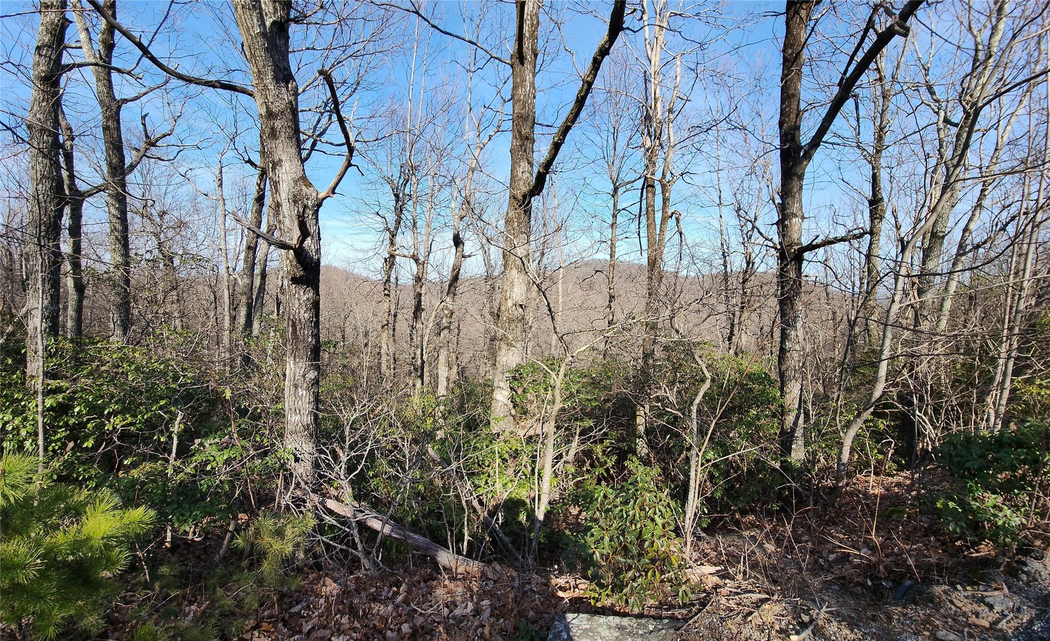 White Oak Mountain - Land
