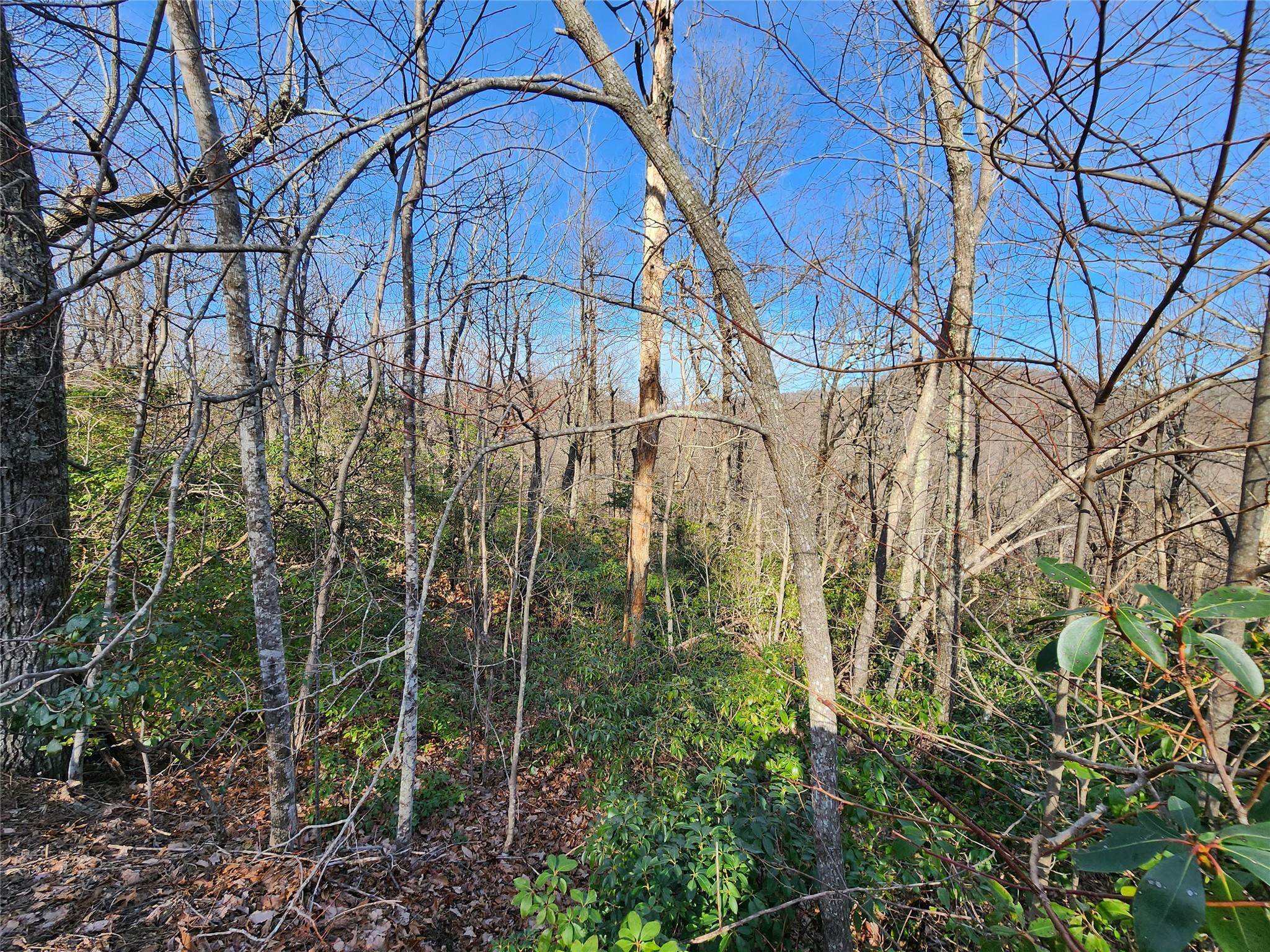 White Oak Mountain - Land