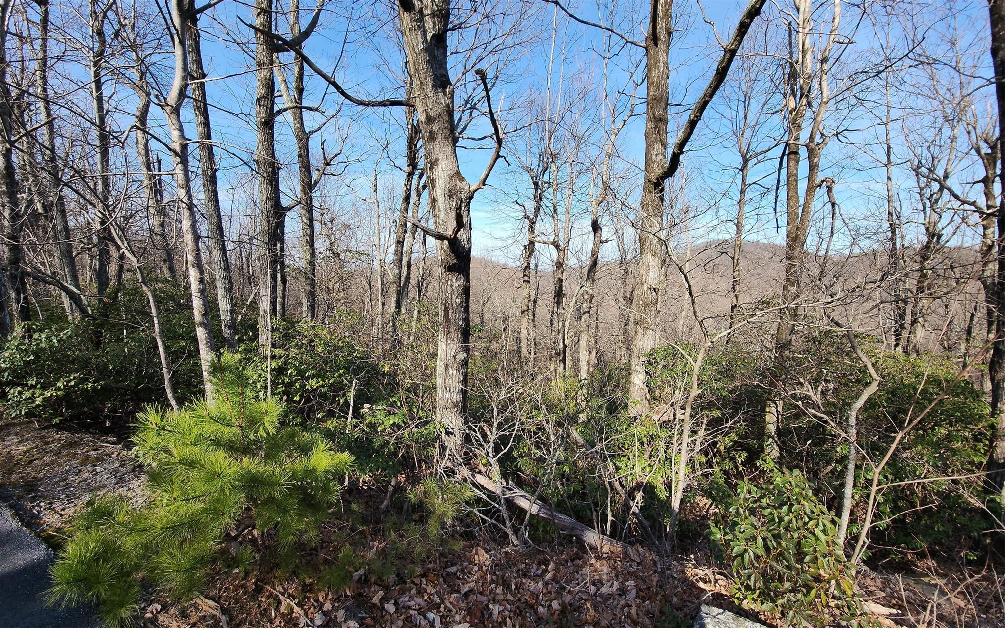 White Oak Mountain - Land