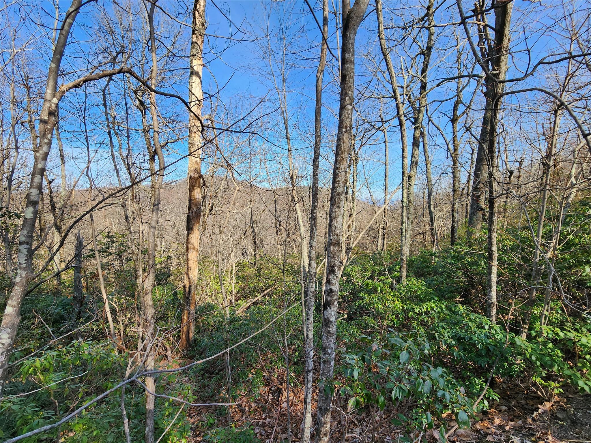 White Oak Mountain - Land