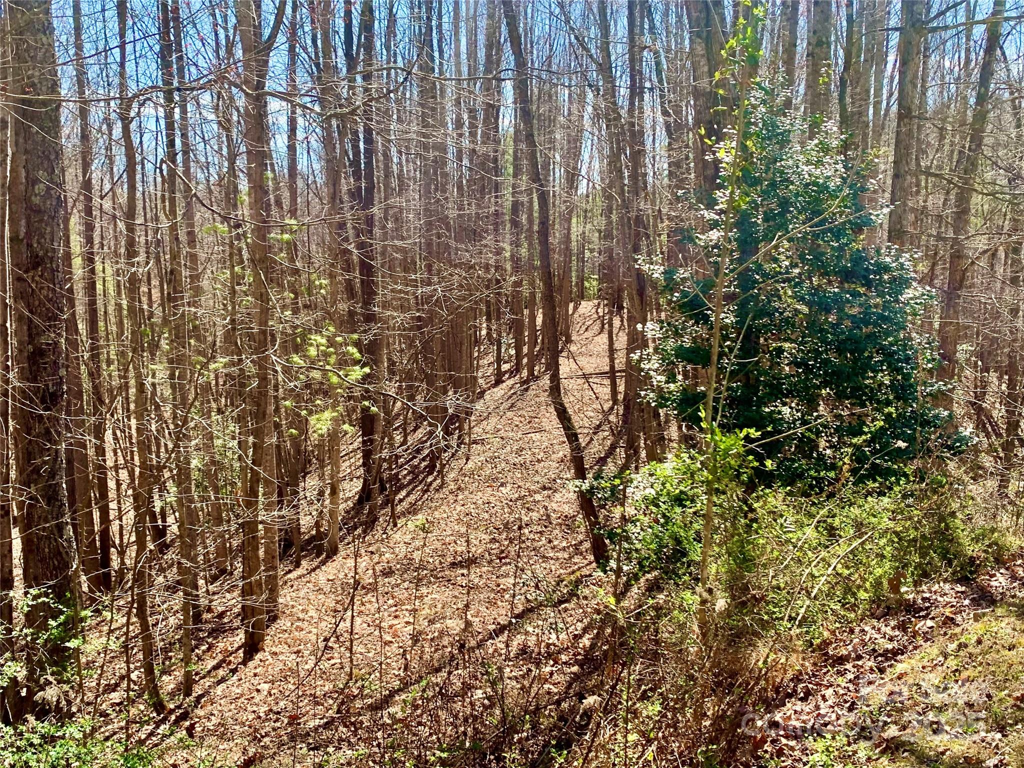 The Coves Mountain River Club - Land