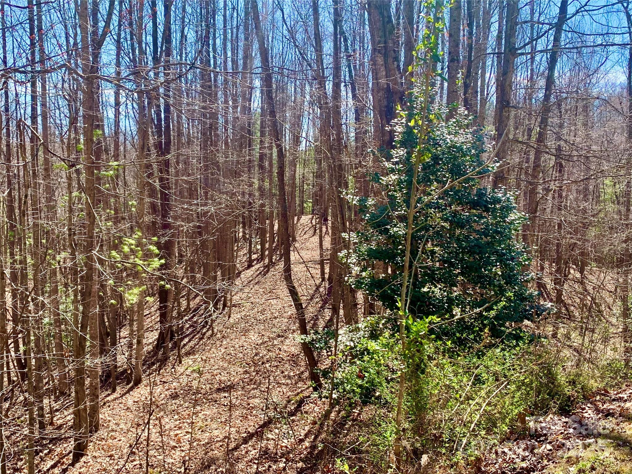 2.78 acres with a flat ridge that stretches from the street to a flat knoll in the middle of the lot, just waiting for your mountain home. Beautiful hardwood trees, dogwoods, and mountain laurel surround you. No time limits to build. Located at The Coves Mountain River Club, a 3,200 acre gated community in the Blue Ridge Mountains.  Hike, bike, ride horses or UTVs on miles of private community trails. Kayak, fish, pan for gold in 5 miles of Johns River on site. At the Club House: wrap around porches have 360º mountain views; the pool faces Pisgah National Forest.  Inside: fitness center, locker rooms, kitchen, great room with 3-sided fireplace, lending library, and more.  Social events, excursions, hiking, travel, yoga. 2 Equestrian Centers. Dog Park,. Pickle-ball courts. Vineyard, Gardens. The Coves is a Firewise USA® Community, a program of the National Fire Protection Association, that helps neighbors organize to reduce wildfire risk, harden homes, and create defensible space by managing vegetation and preparing for wildfires. 500k acre Pisgah National Forest & Wilson Creek Gorge are just outside the gates!  1.25 hr drive to Charlotte or Asheville. Minutes to Blowing Rock, Morganton & Lenoir. I-40 is 30 mins away.