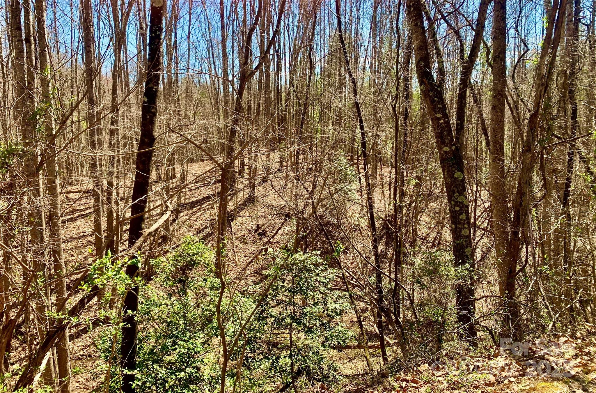 The Coves Mountain River Club - Land