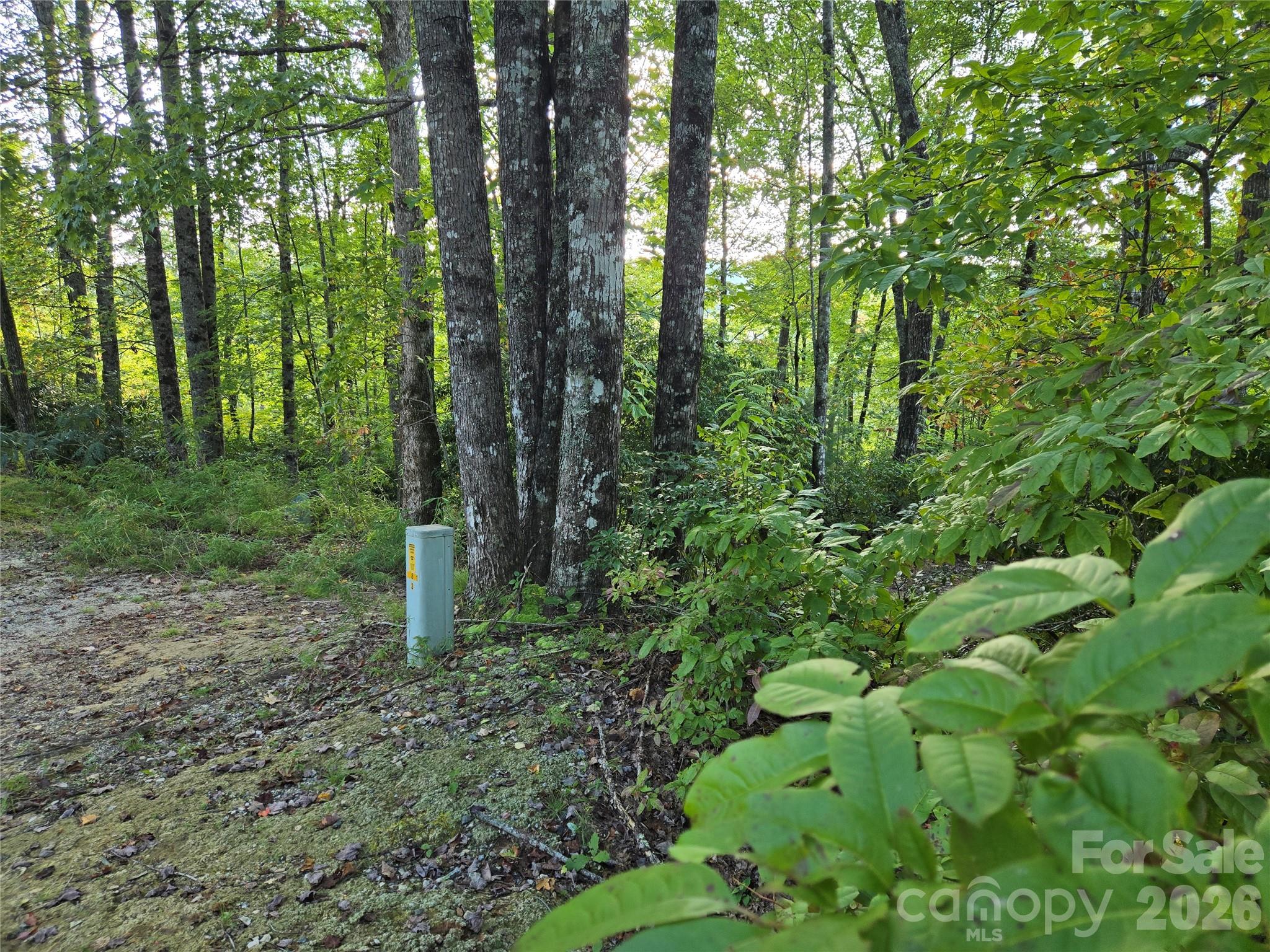 Indian Camp Mountain - Land