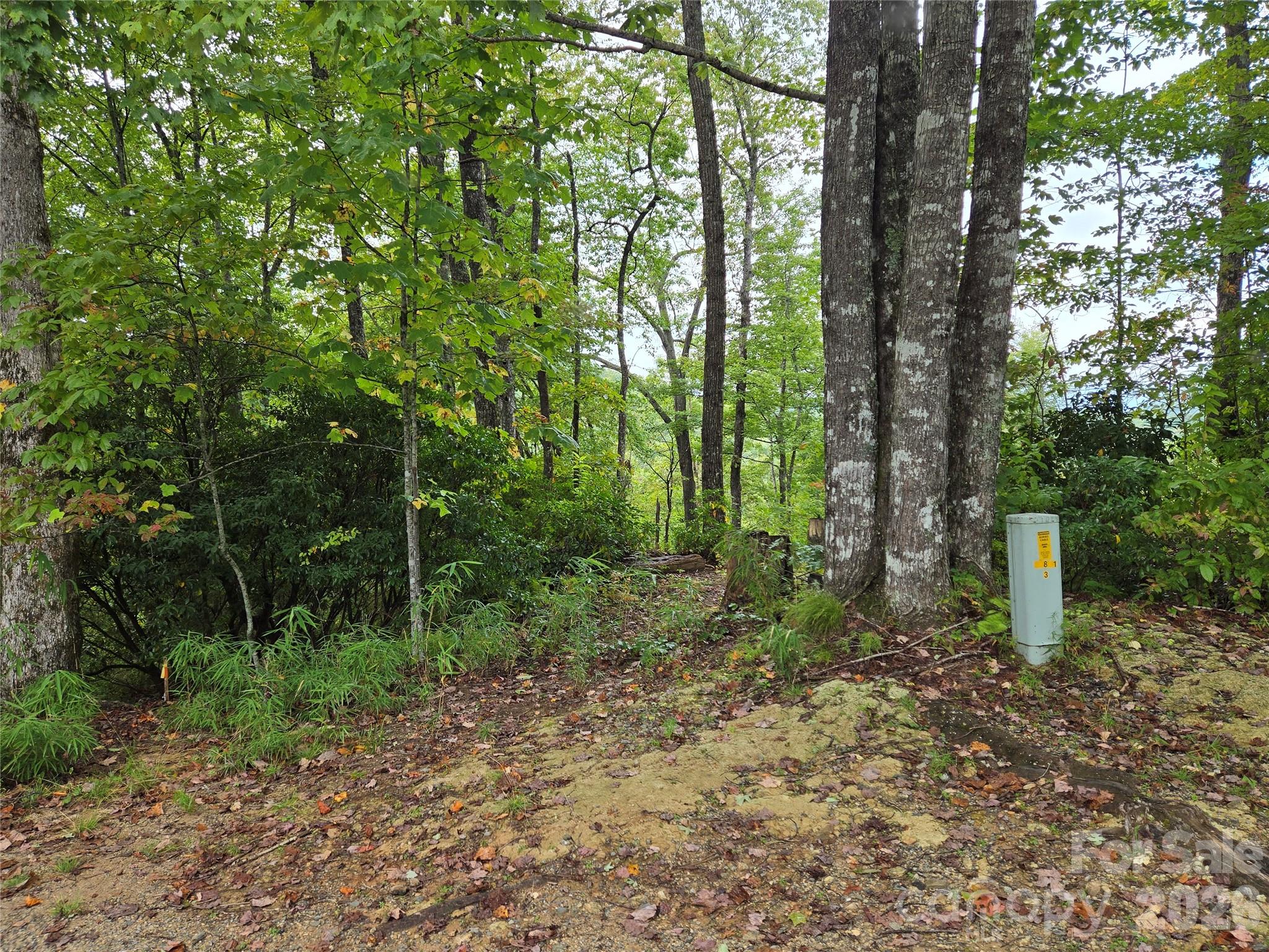 Indian Camp Mountain - Land