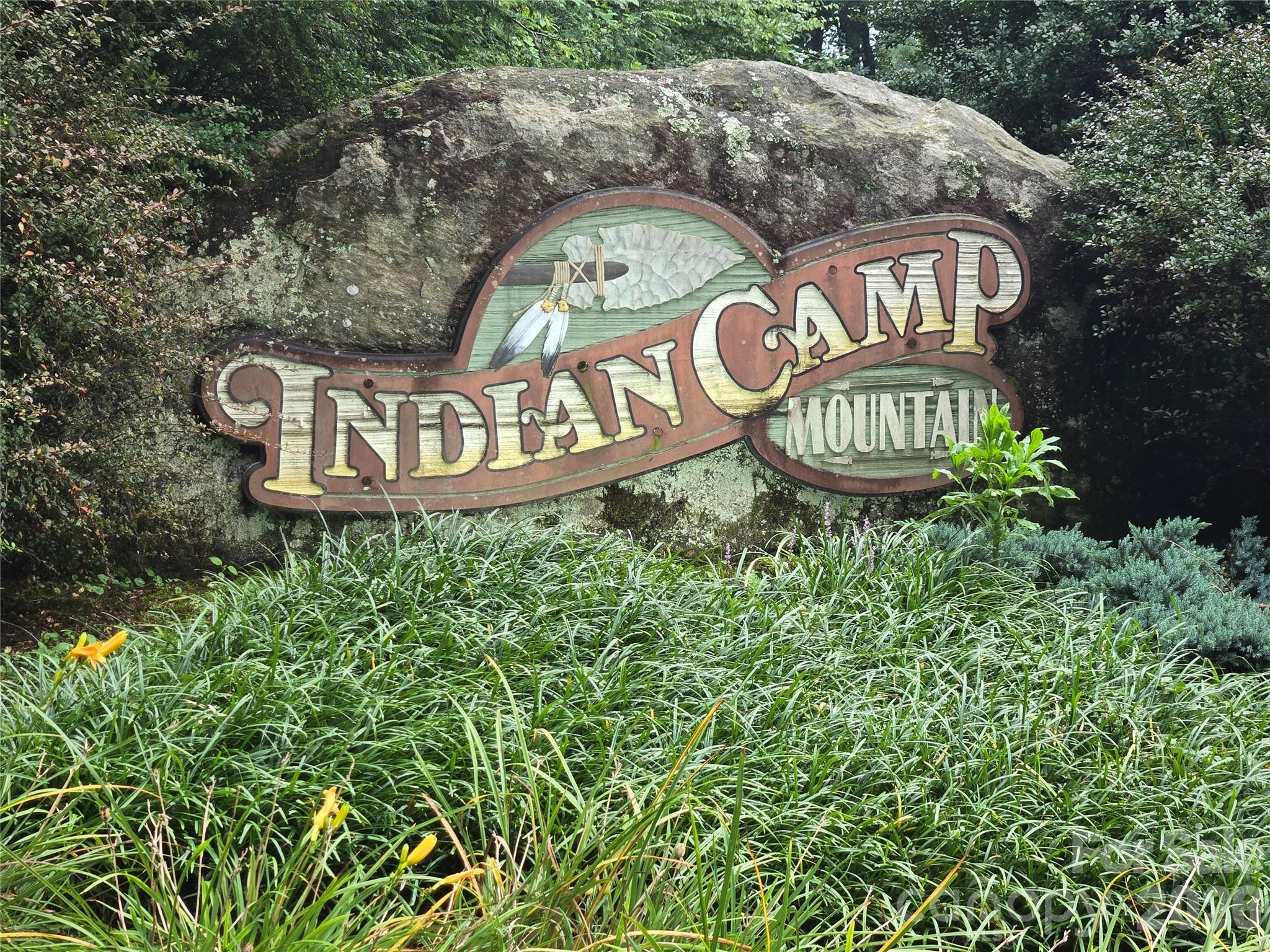 Indian Camp Mountain - Land