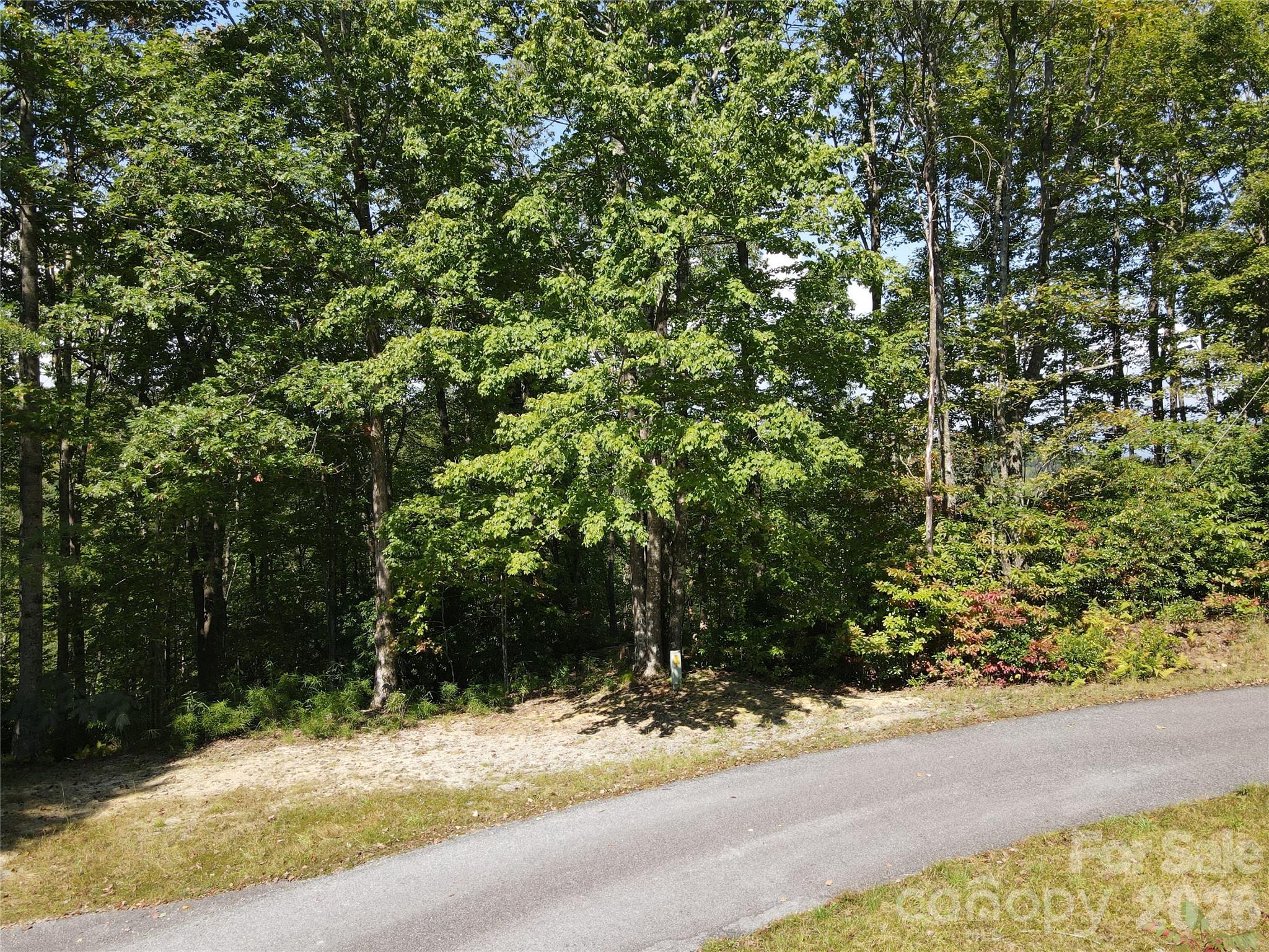 Indian Camp Mountain - Land