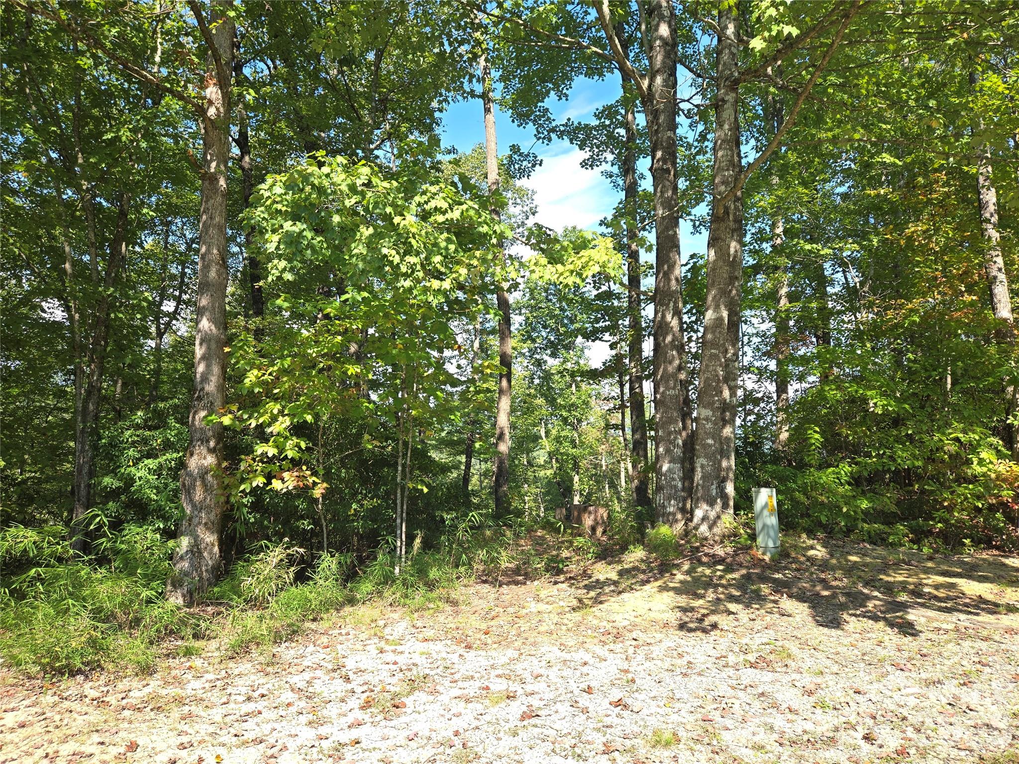 Indian Camp Mountain - Land
