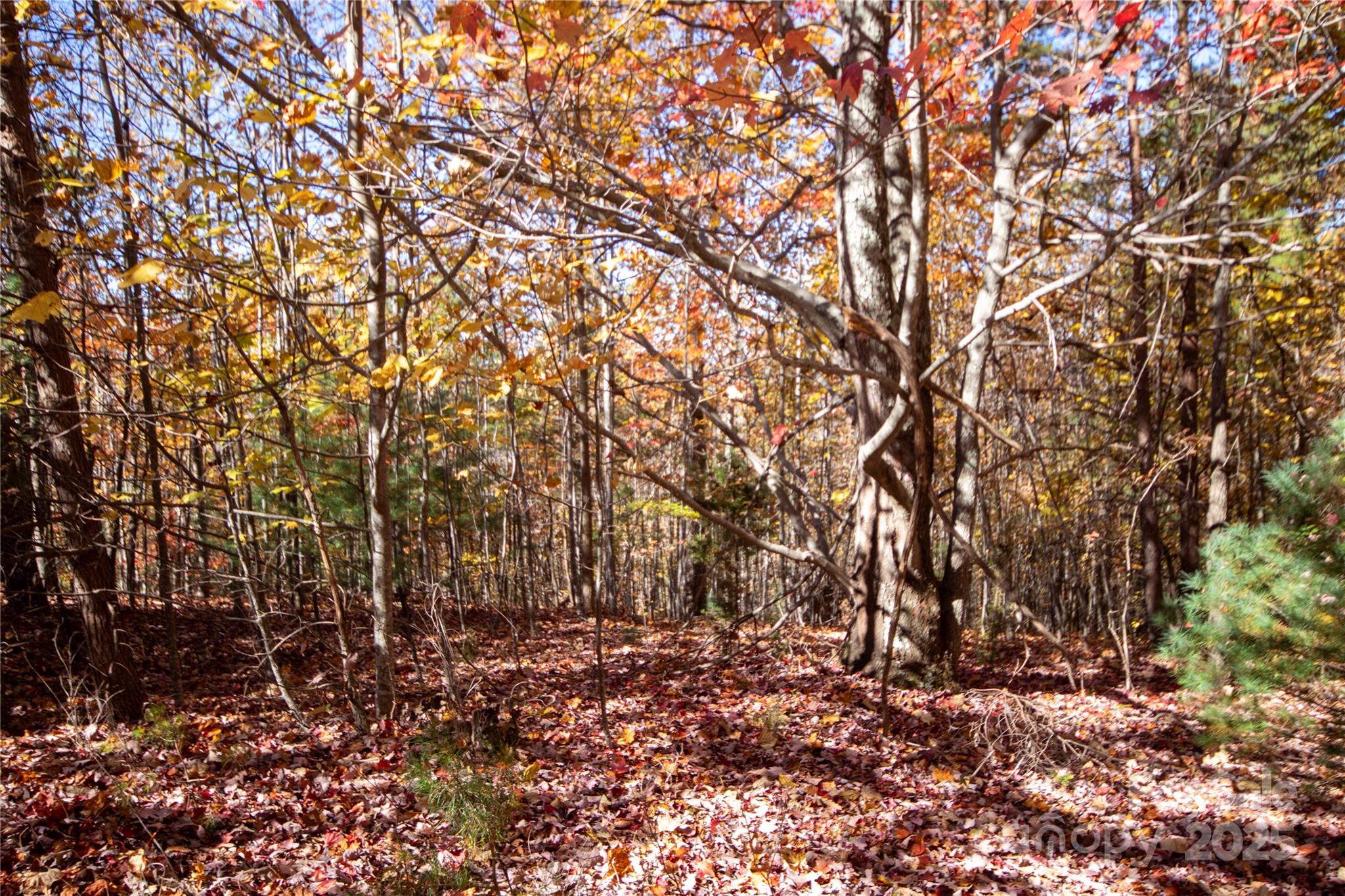 EXTRAORDINARY VIEWS OF WESTERN NC! Build your dream home with long range views that will include Grandfather Mountain, Table Rock, Hawksbill, Mt Mitchell and the greater Western NC mountains! With an elevation just short of 2000’, you will enjoy watching the weather come over the mountains - and in the Winter, SEE THE SNOW on the Western peaks without being in it. On the rare occasion that this area does get snow, the roads are scraped by the HOA. This 2.18 acre lot has access to county water and electric is at the beginning of Peregrine Terr - you just need septic! This location provides a more direct route via US Hwy 321 to Blowing Rock, Boone & the Blue Ridge Parkway than the Western side of Caldwell County. Groceries, Shopping & Hospital/Health Care is less than 8 miles! Cedar Rock Country Club offers a variety of membership packages and is located at the base of Eagle Heights with dining, golf, tennis & swimming.