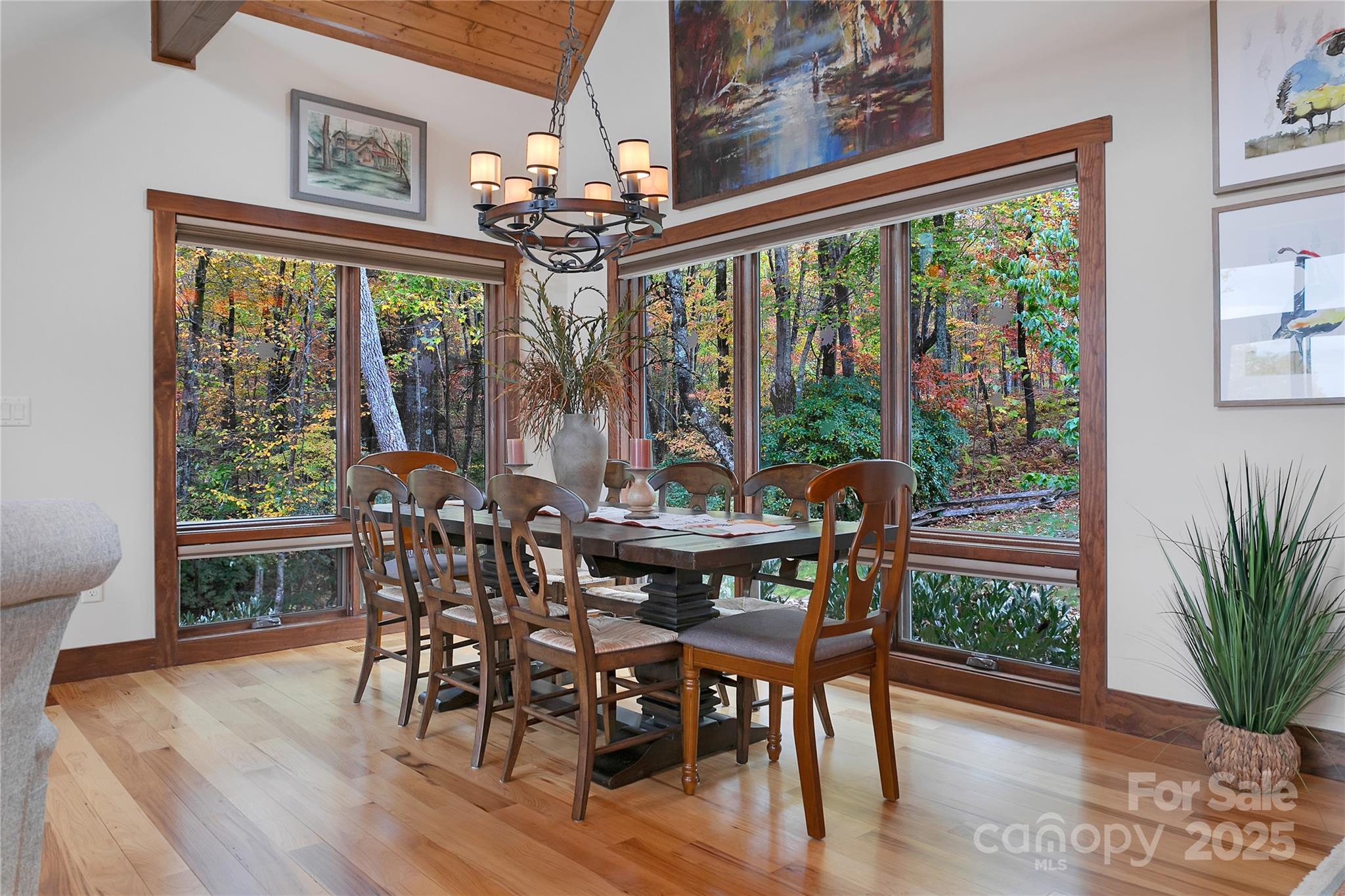 Indian Camp Mountain - Residential