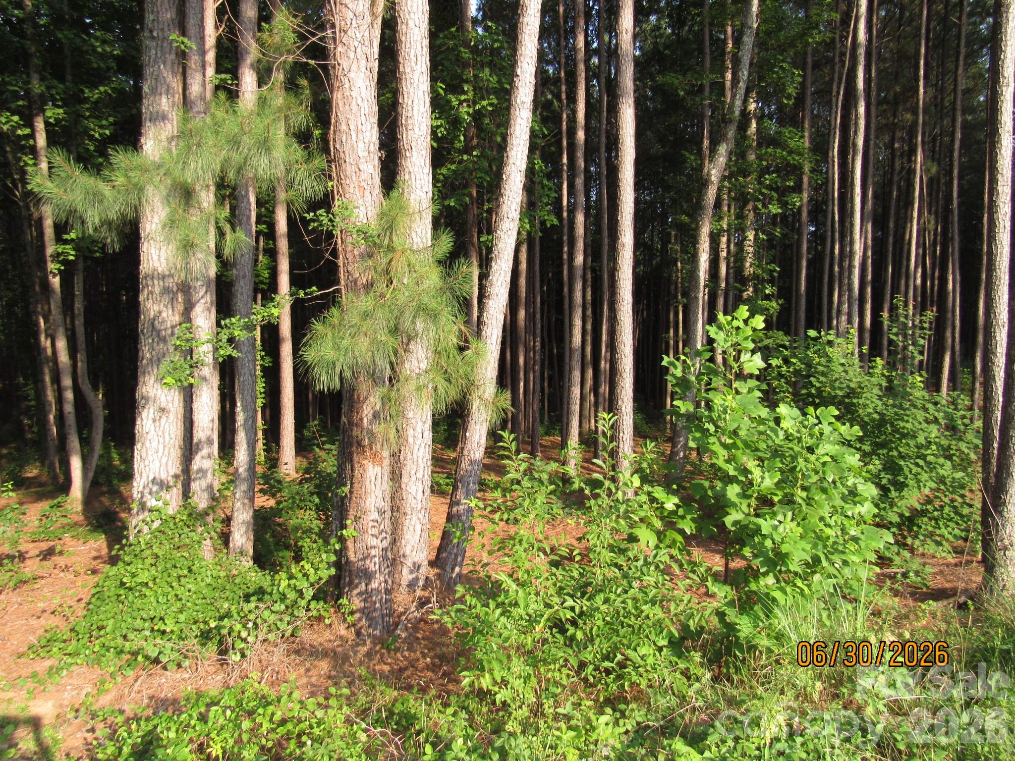 Hickory Point - Land