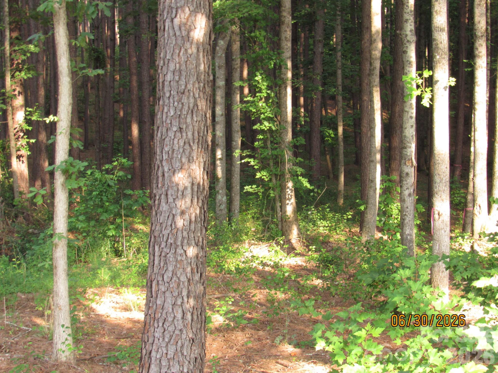 Hickory Point - Land