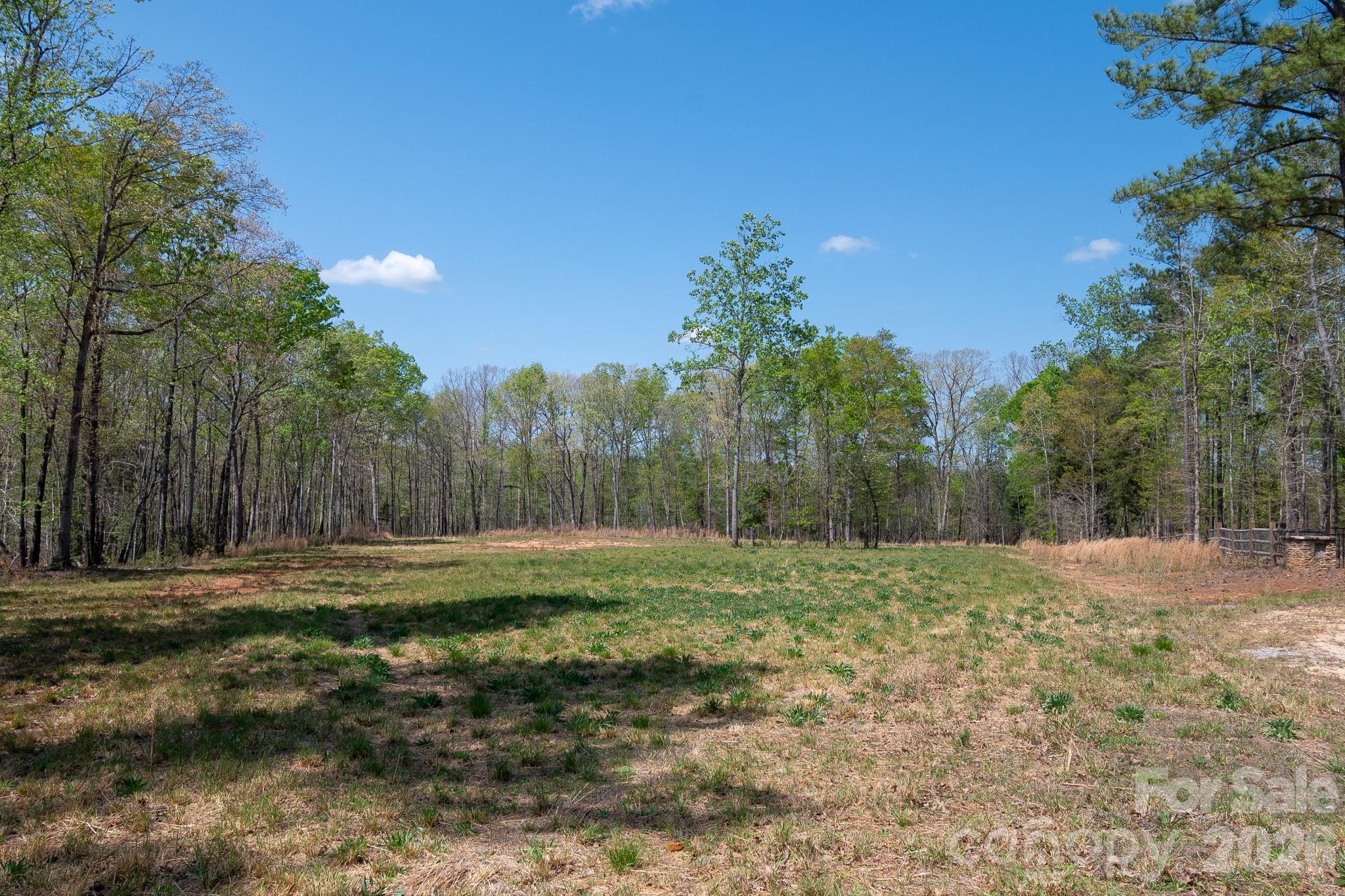 Virginia's Woods - Land