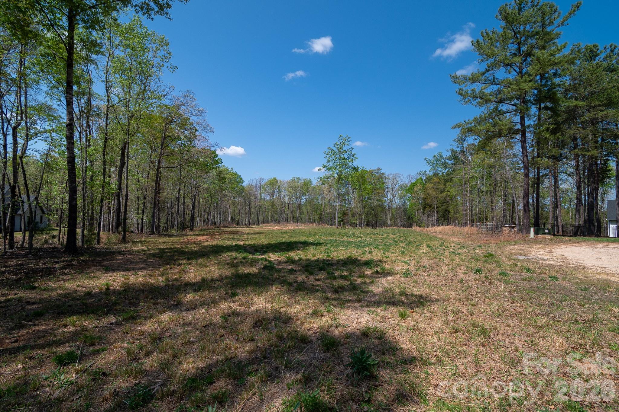 Virginia's Woods - Land