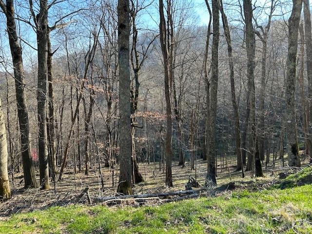 Wolf Laurel Estates - Land