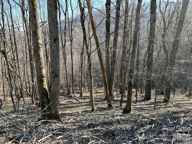 Beautiful mid range views that face the Black Mountains. The lot is fairly level for a mountain lot. It is approximately 1.06 acres. Security gate for gated community.