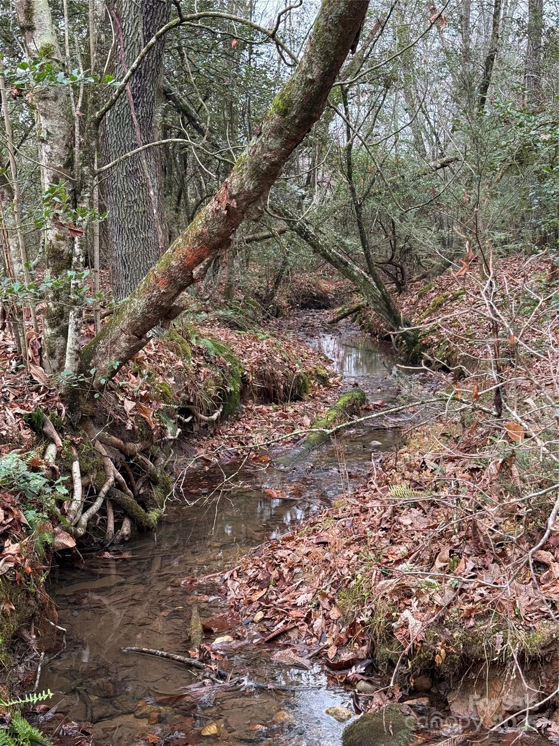 Want to have your own oasis in the mountains? This is your chance! This 11 acre tract offers a blend of privacy, nature, and opportunity. All 11 acres are fully usable giving you the flexibility to build your dream home exactly how you envision it. Seller has contacted a builder and has site plans for a luxury home or barn-dominion should buyer be interested in exploring this option. Enjoy abundant space for recreation, or peace and quiet in the heart of nature at its best. Whether you're looking to build a single-family home, cabin, or other structure types, this land offers incredible potential. Looking for more space? Two adjacent tracts are available, if interested. 

*Public water can be pulled from main road. A septic is needed.**