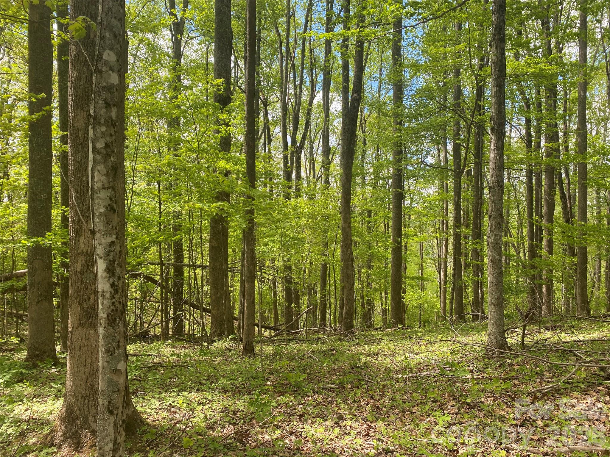 Private 8.68± acre mountain tract offering an excellent opportunity for hunting, recreation, timber investment, or a secluded mountain getaway. Featuring steep terrain with mature woodland, abundant natural privacy, and beautiful mountain surroundings, this property is ideal for outdoor enthusiasts seeking peace and seclusion. A nice potential cabin site sits near the top of the property at approximately 3,700 feet elevation, offering the possibility for a private retreat tucked into the mountains. Conveniently located near Sams Gap Appalachian Trail access, I-26, and Hatley Pointe, this property offers easy access to outdoor adventure, skiing, hiking, nearby towns, and amenities while still maintaining the feel of a remote escape. With unrestricted acreage and potential homesite possibilities for the right vision and development plan, this property offers endless potential for recreational use, a hunting retreat, cabin getaway, or long-term investment in a desirable mountain setting.