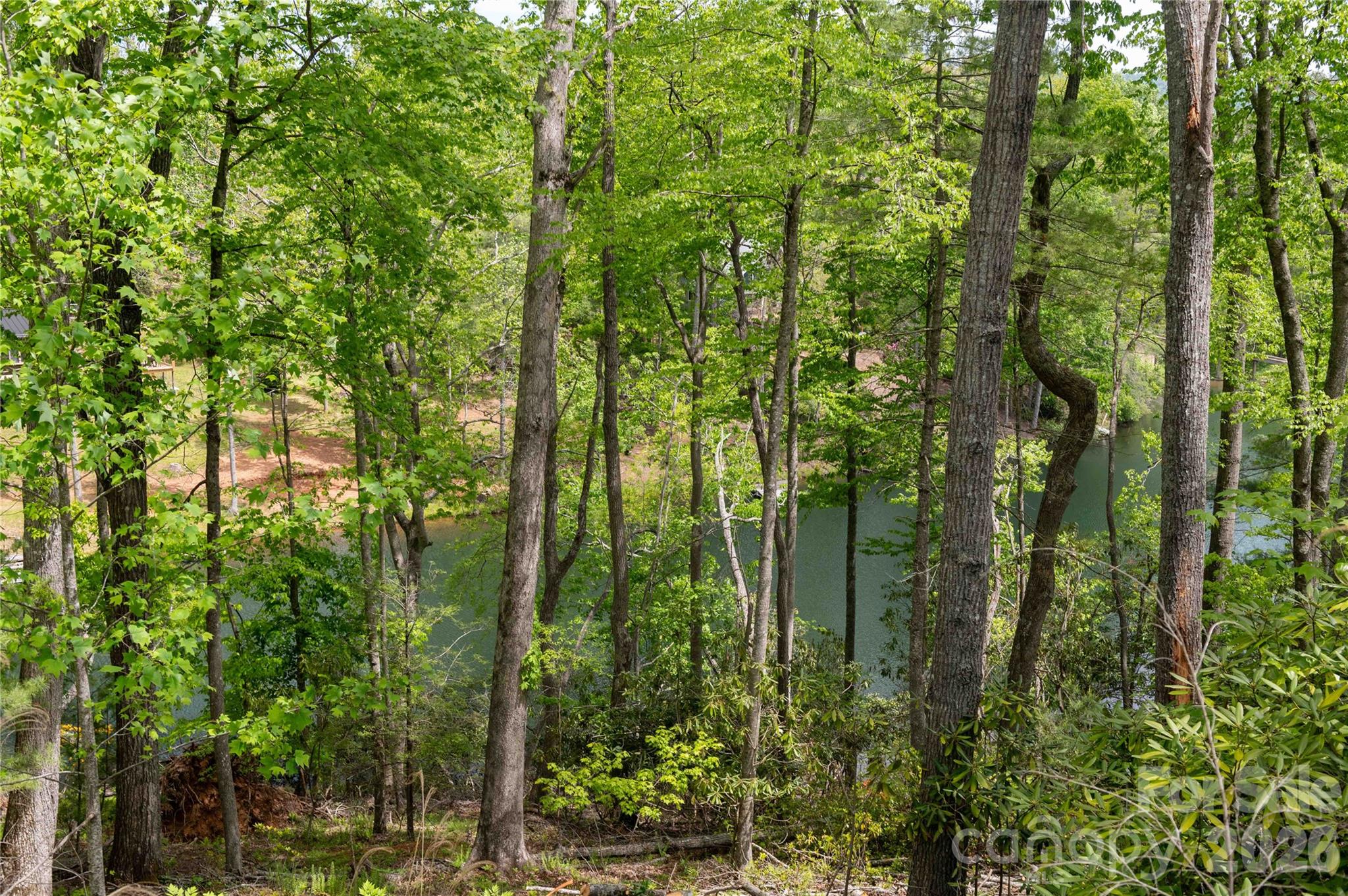 Deer Park Lake - Land
