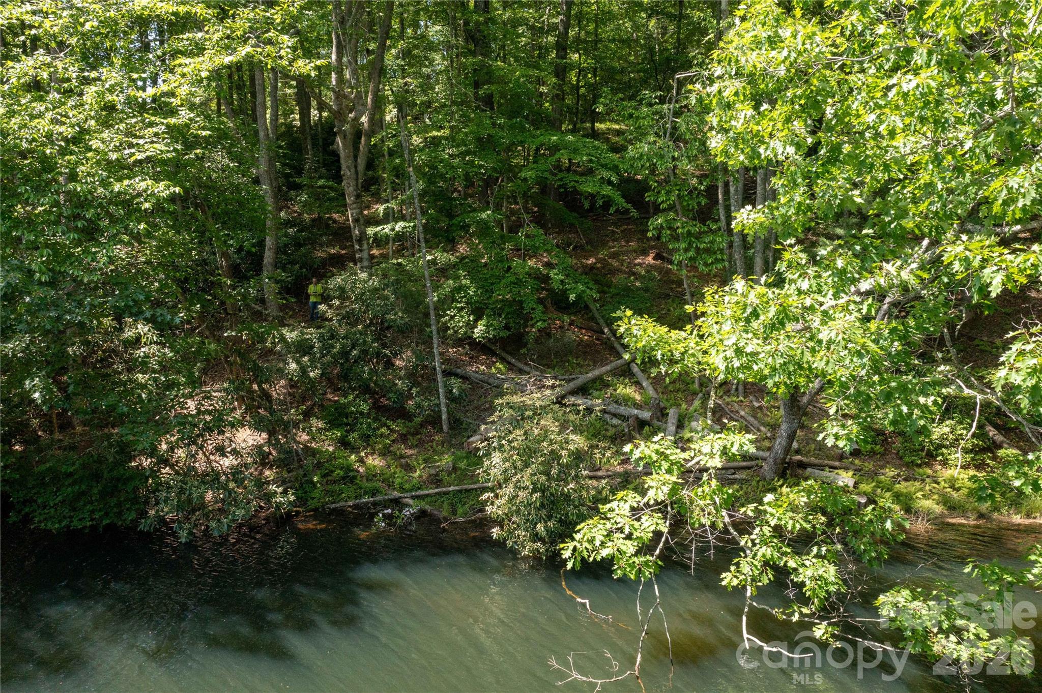Deer Park Lake - Land