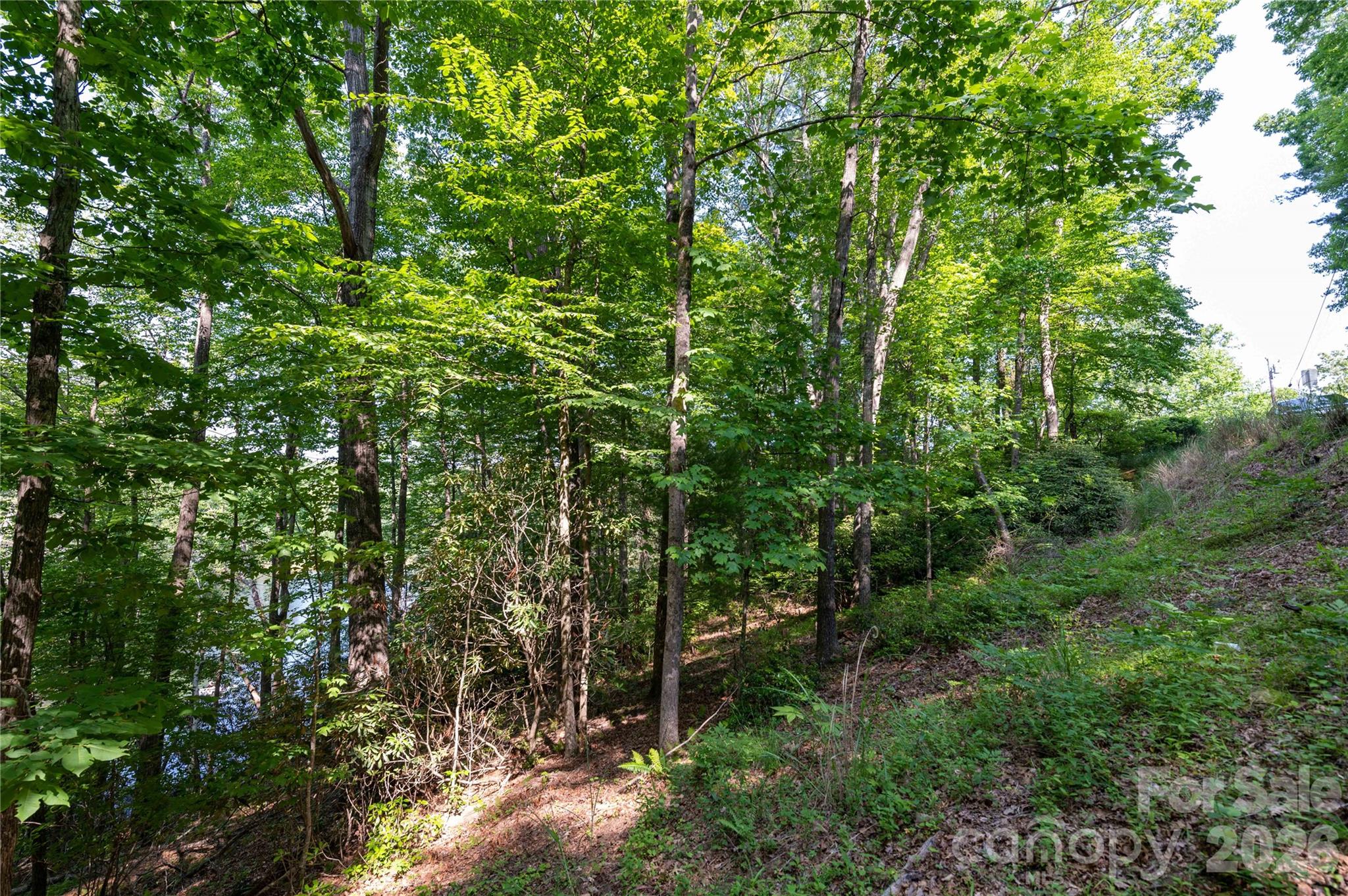 Deer Park Lake - Land