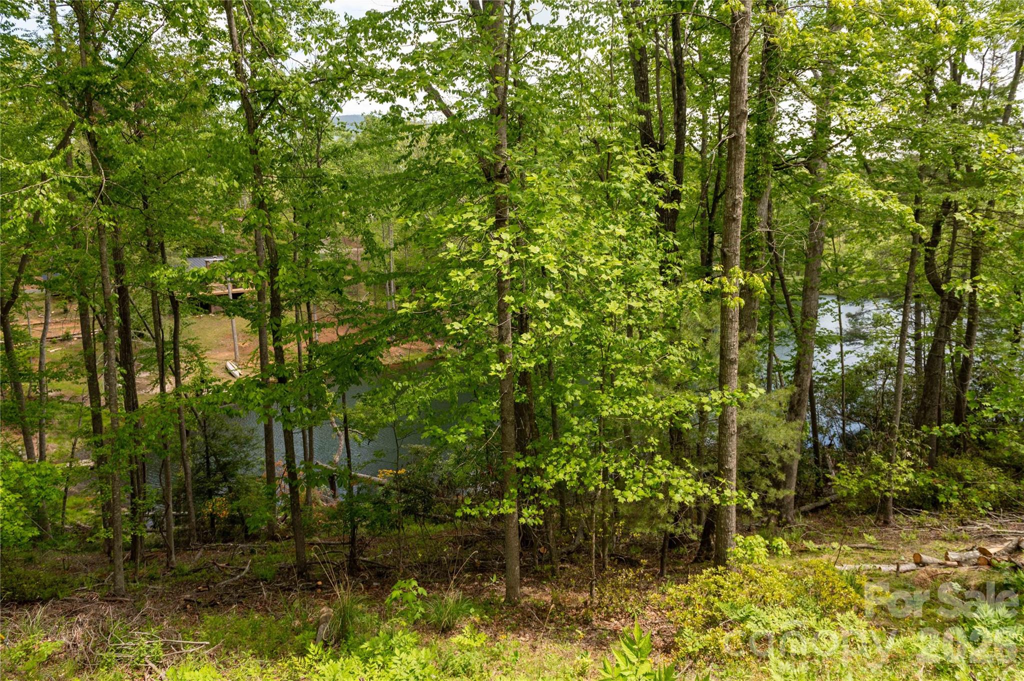 Deer Park Lake - Land