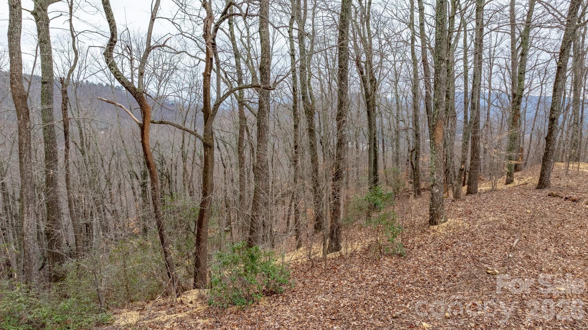 Grants Mountain - Land